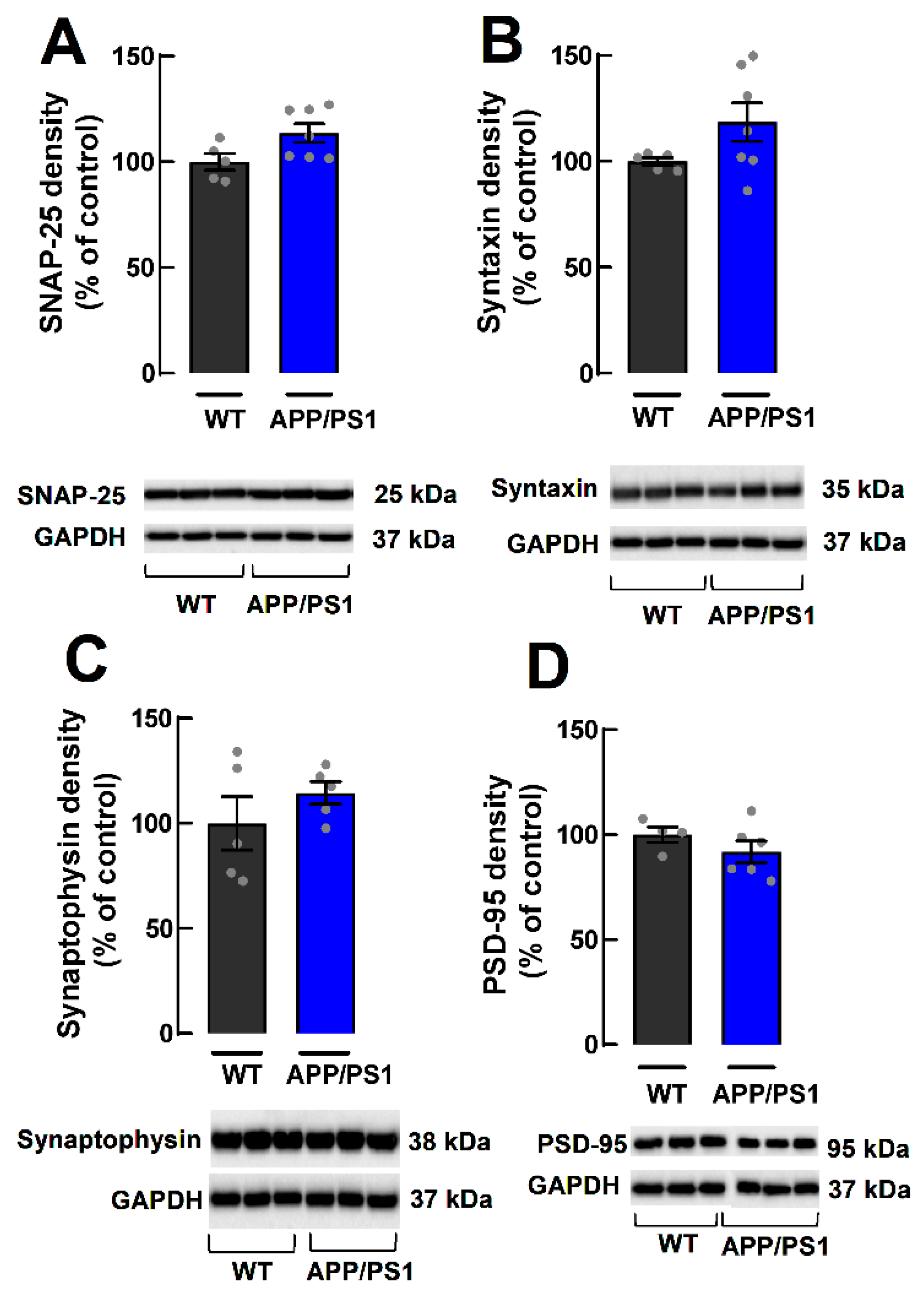 Ijms 24 06968 g004 Ijms 24 06968 g004