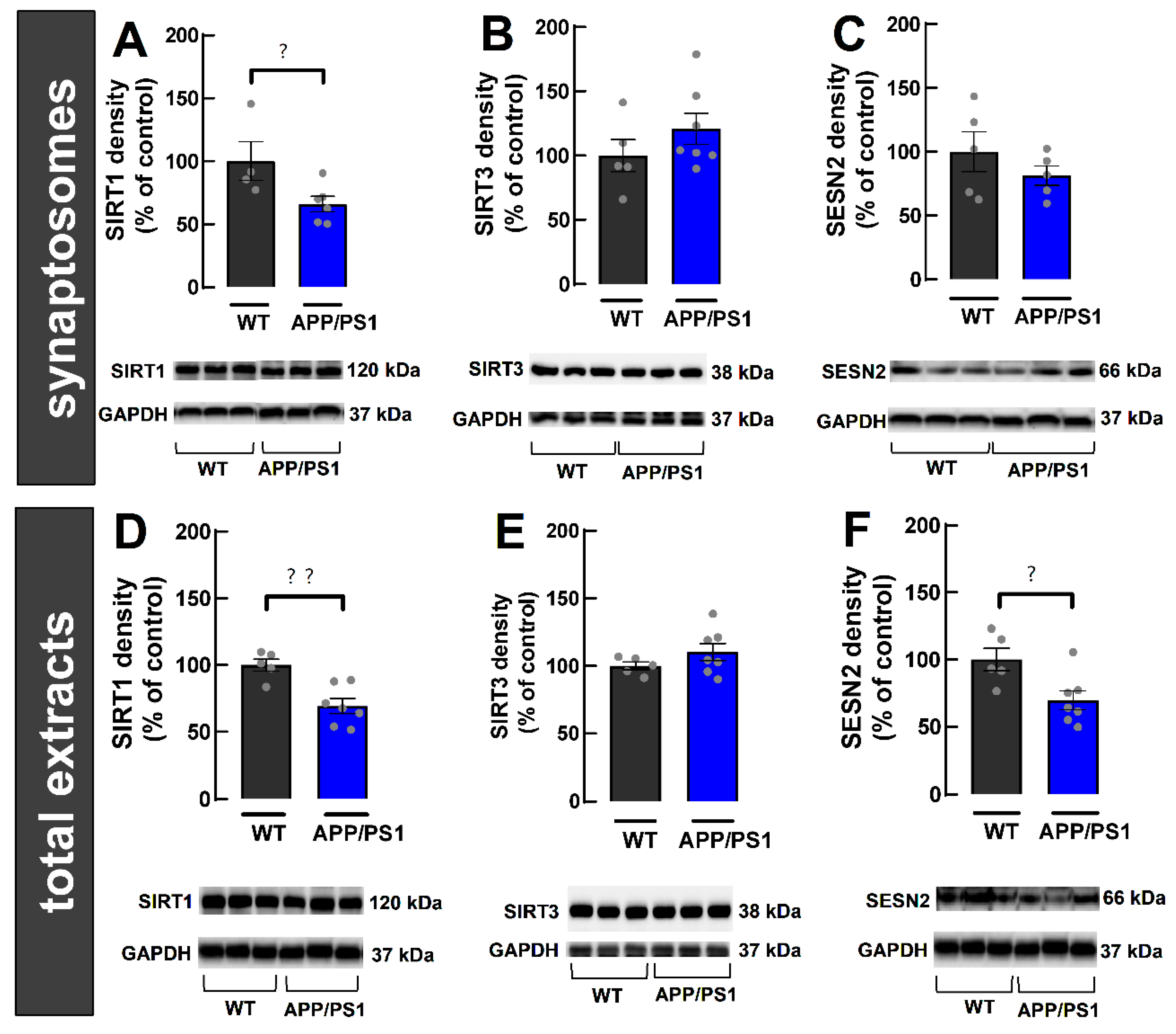 Ijms 24 06968 g005 Ijms 24 06968 g005