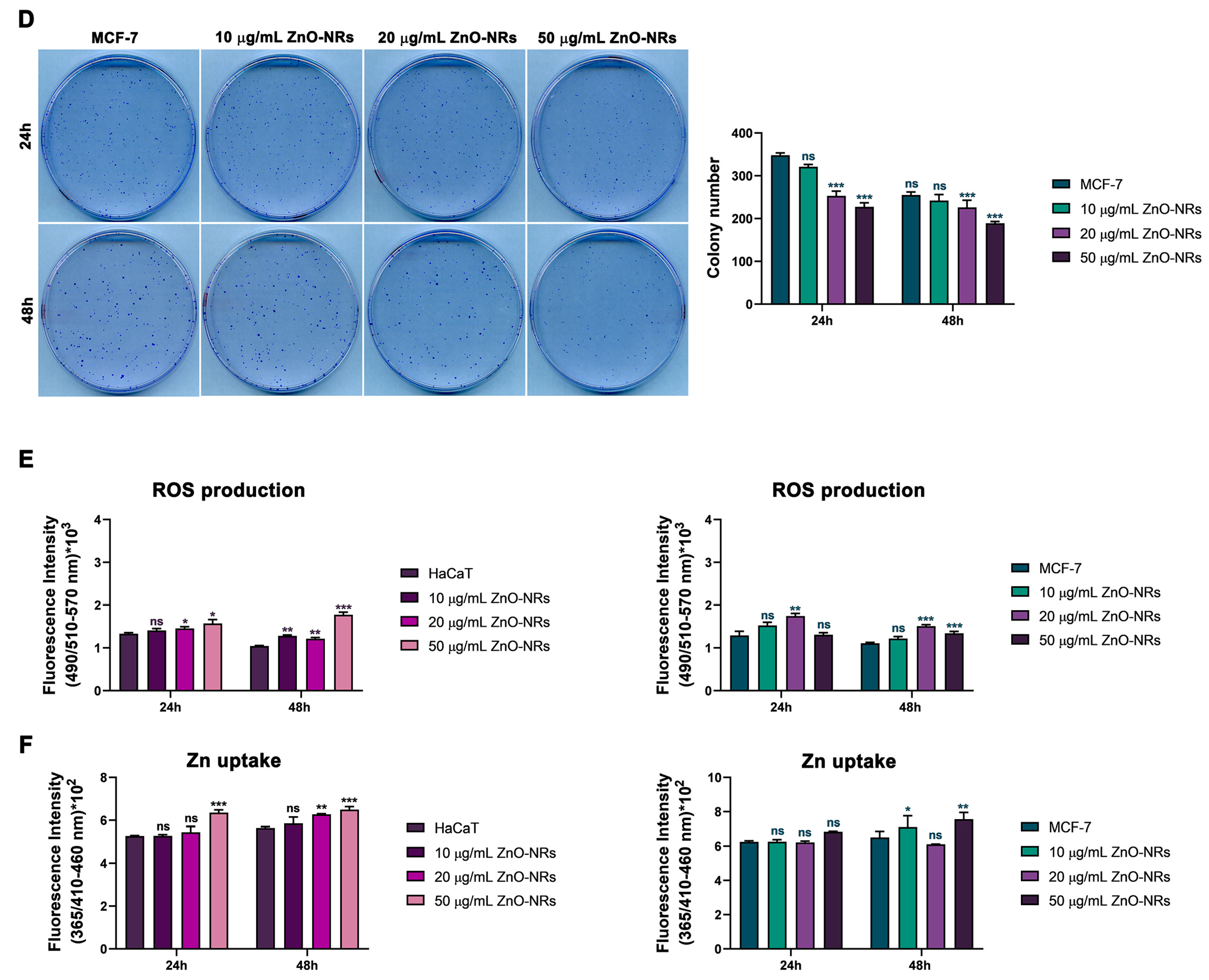 Ijms 24 06971 g002b Ijms 24 06971 g002b