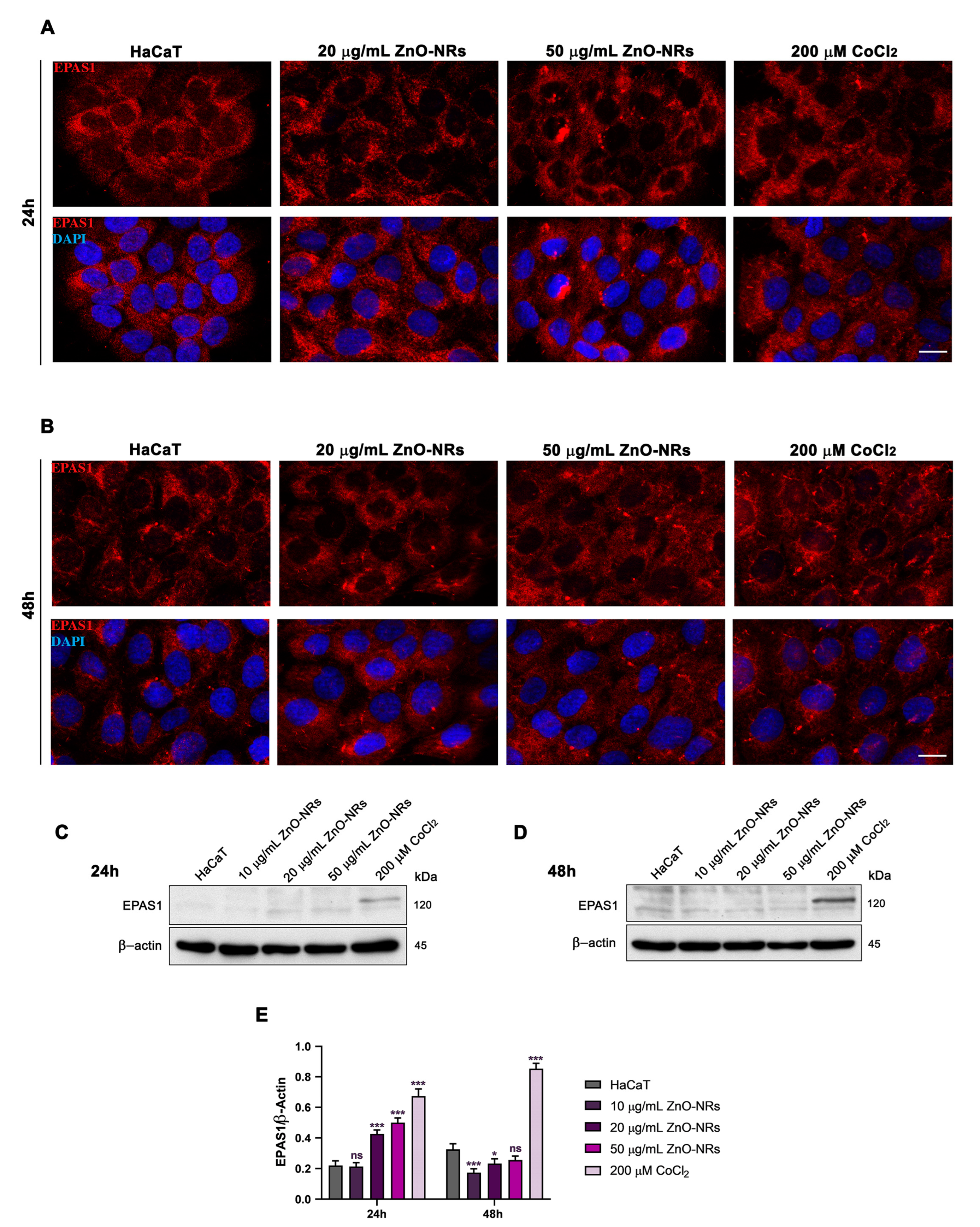 Ijms 24 06971 g006 Ijms 24 06971 g006