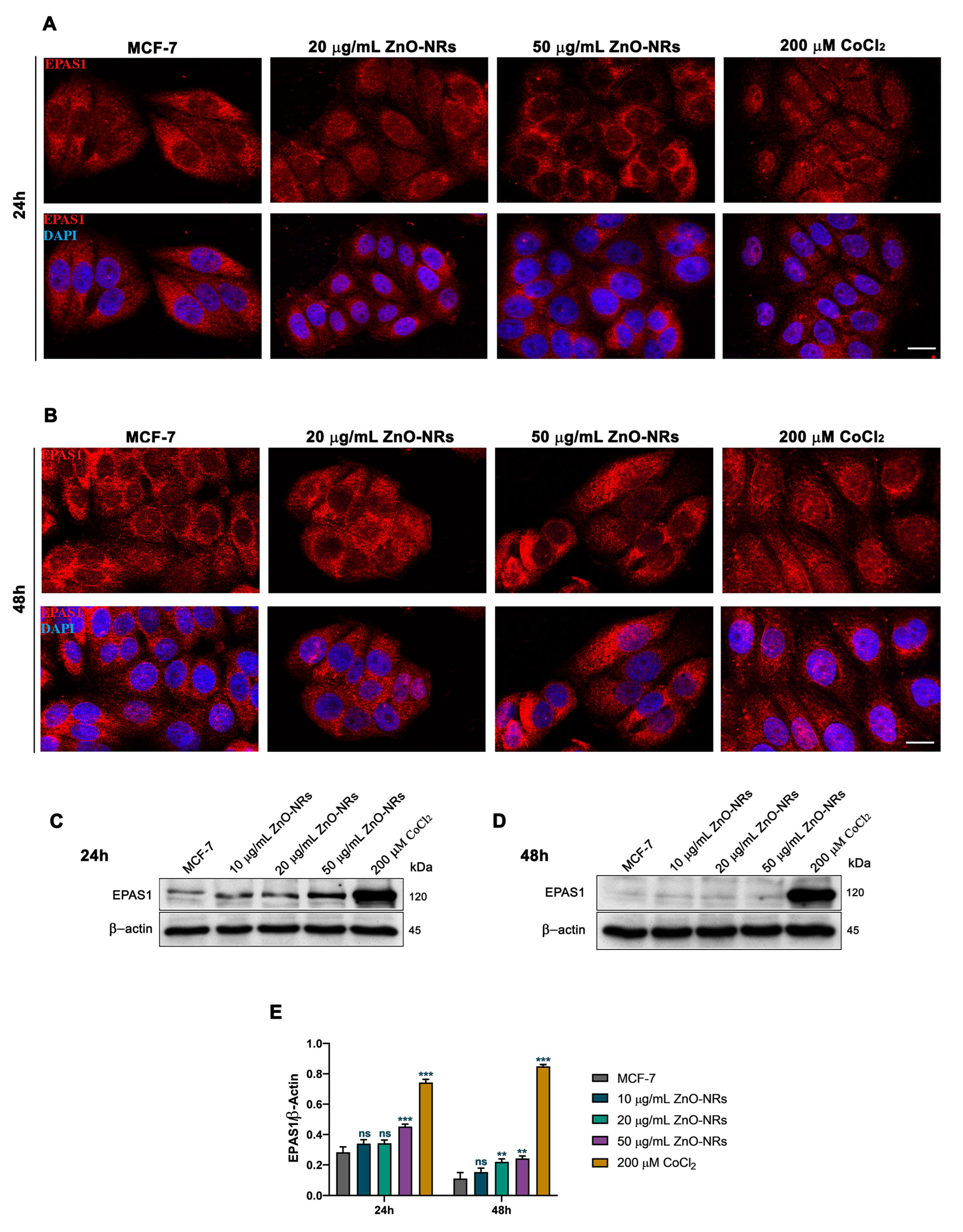 Ijms 24 06971 g007 Ijms 24 06971 g007