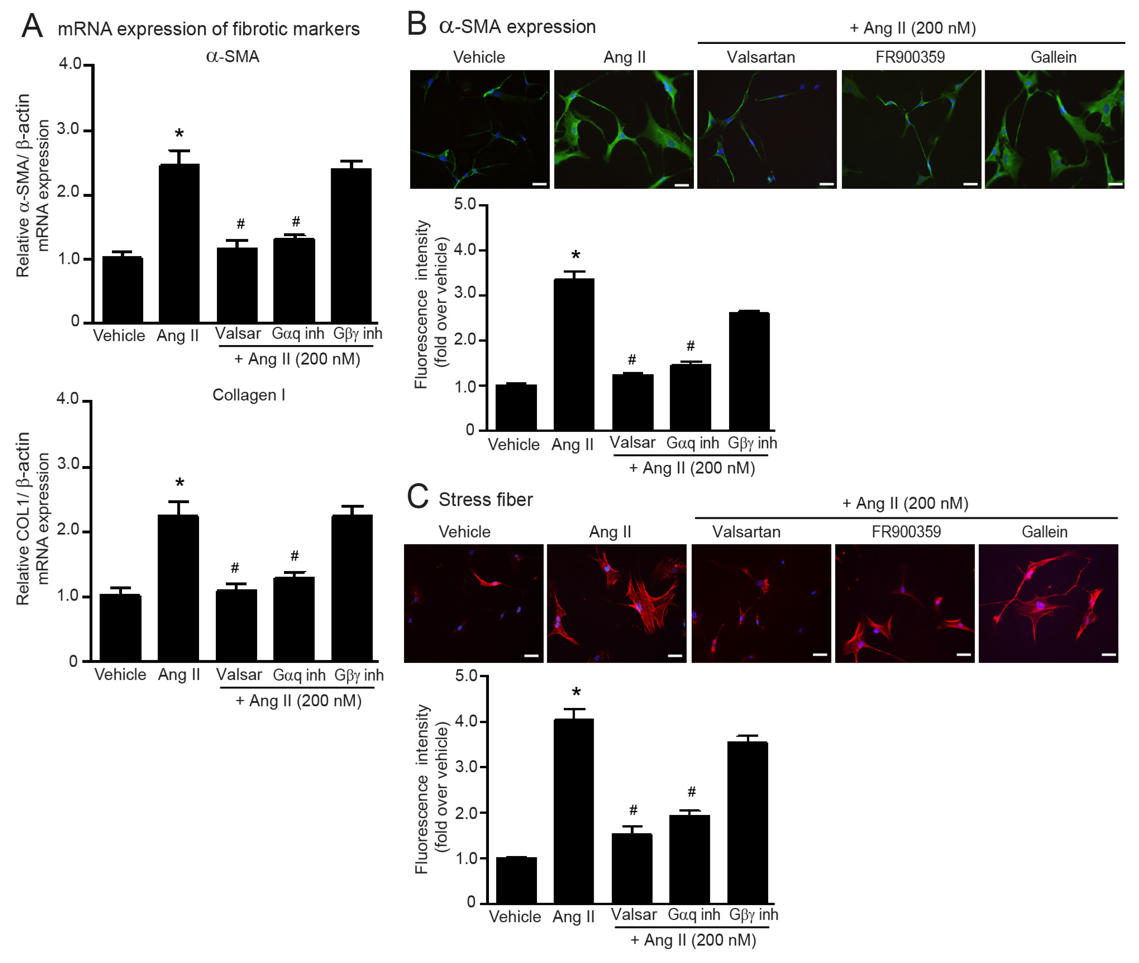 Ijms 24 06972 g001 Ijms 24 06972 g001