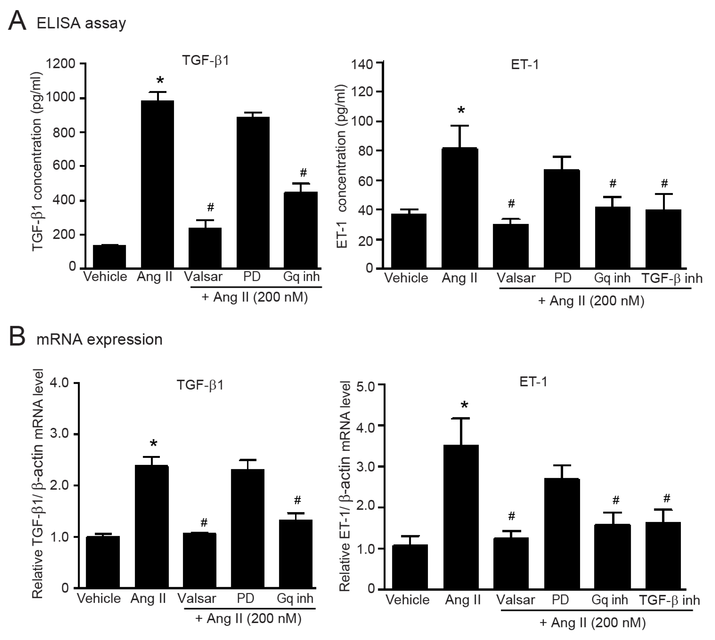 Ijms 24 06972 g005 Ijms 24 06972 g005