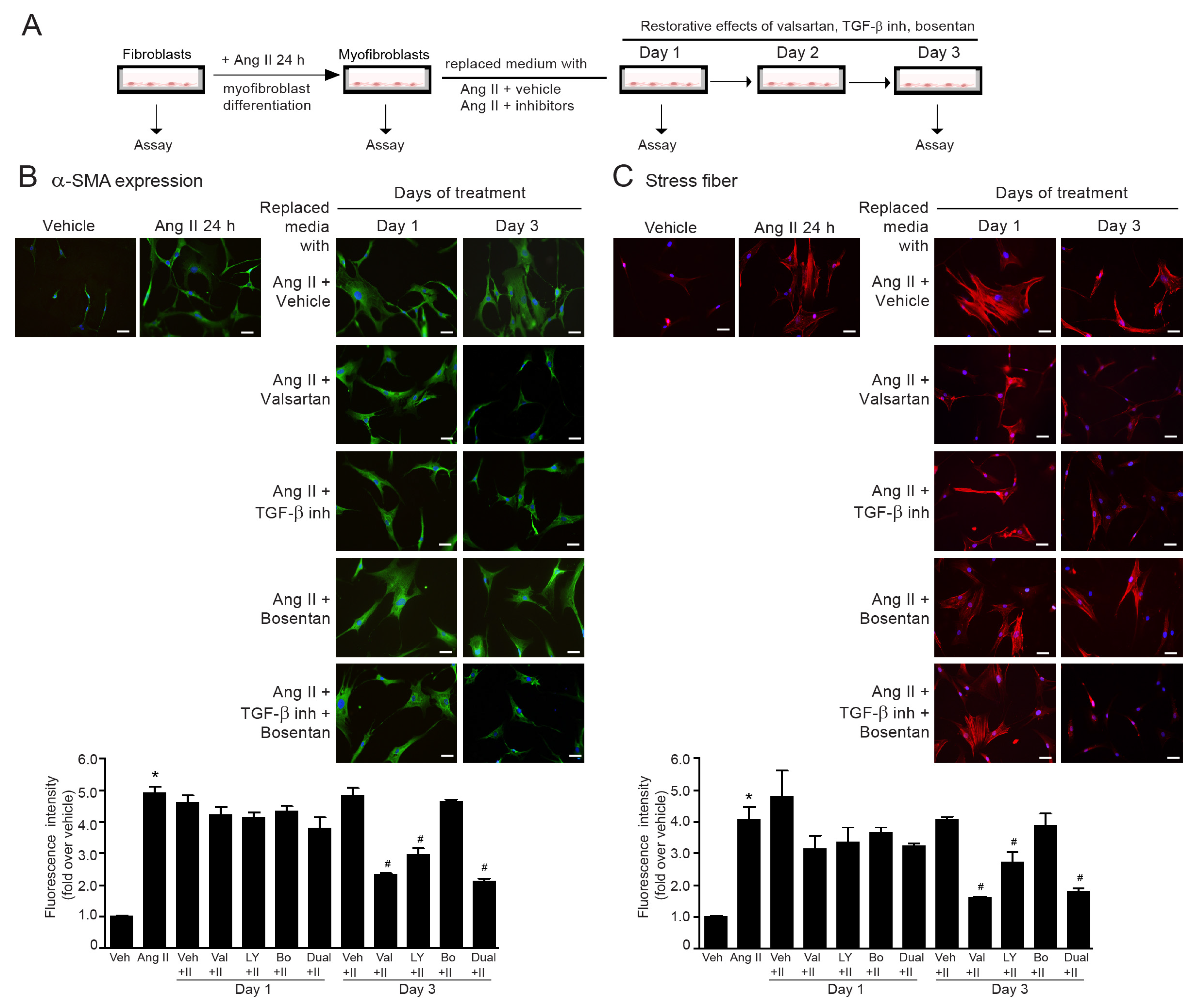 Ijms 24 06972 g007 Ijms 24 06972 g007