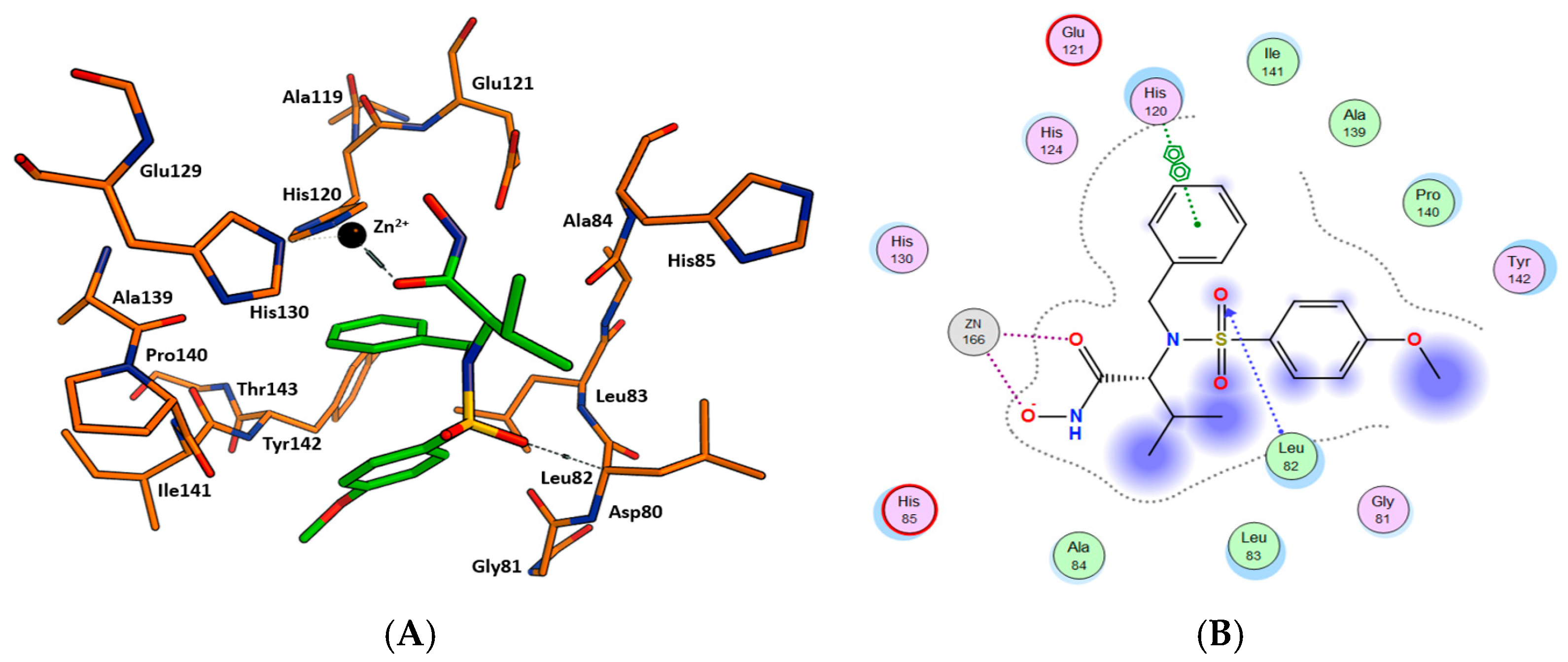 Ijms 24 06973 g003 Ijms 24 06973 g003