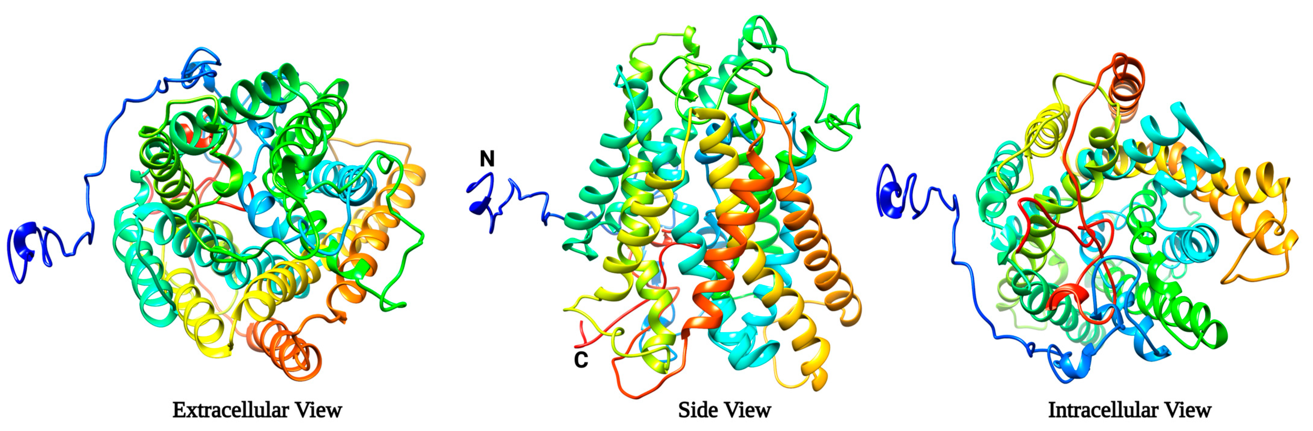 Ijms 24 06975 g002 Ijms 24 06975 g002