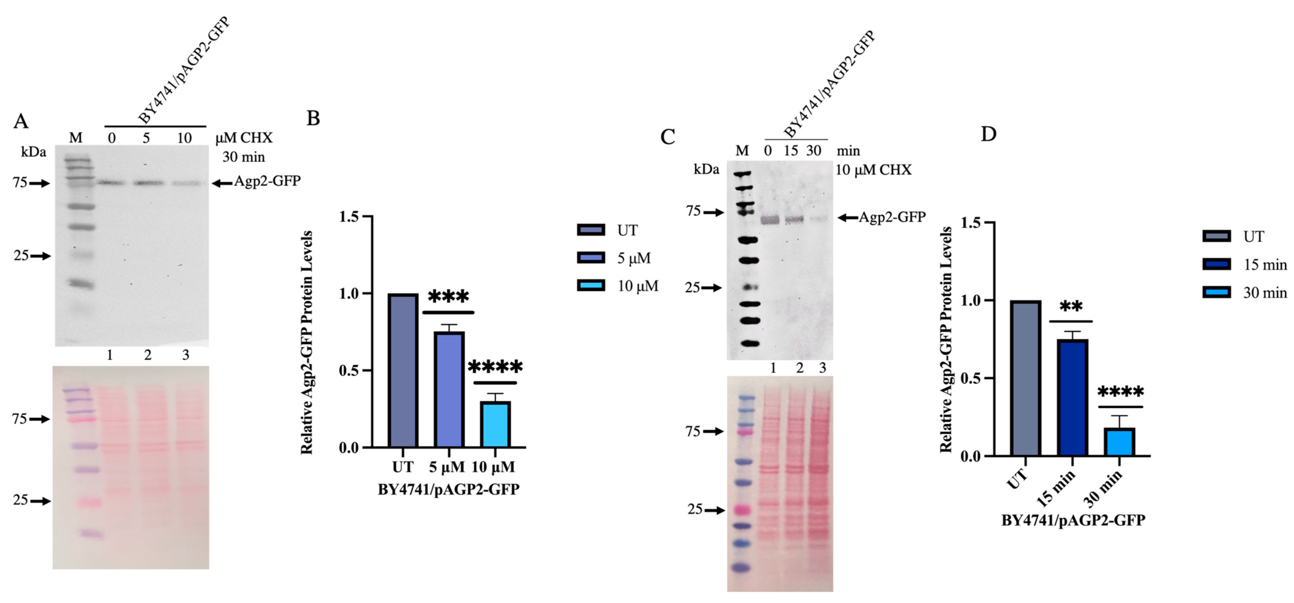 Ijms 24 06975 g005 Ijms 24 06975 g005