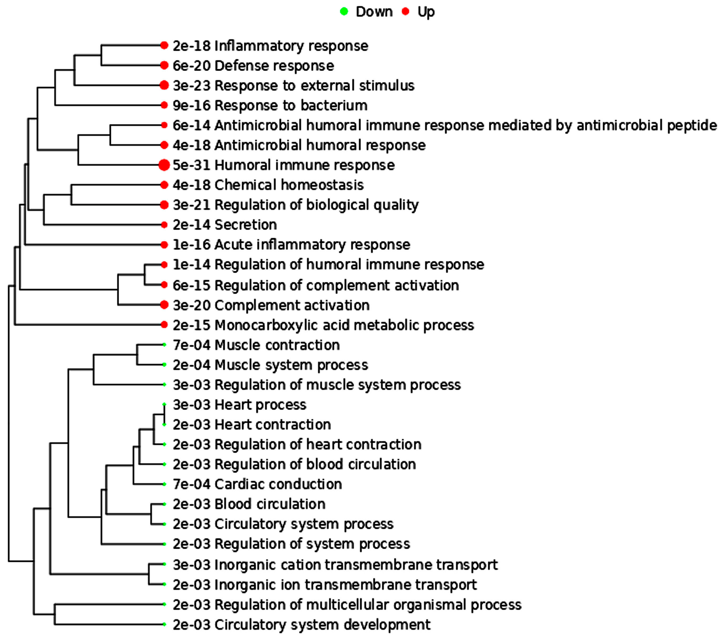 Ijms 24 06984 g002 Ijms 24 06984 g002