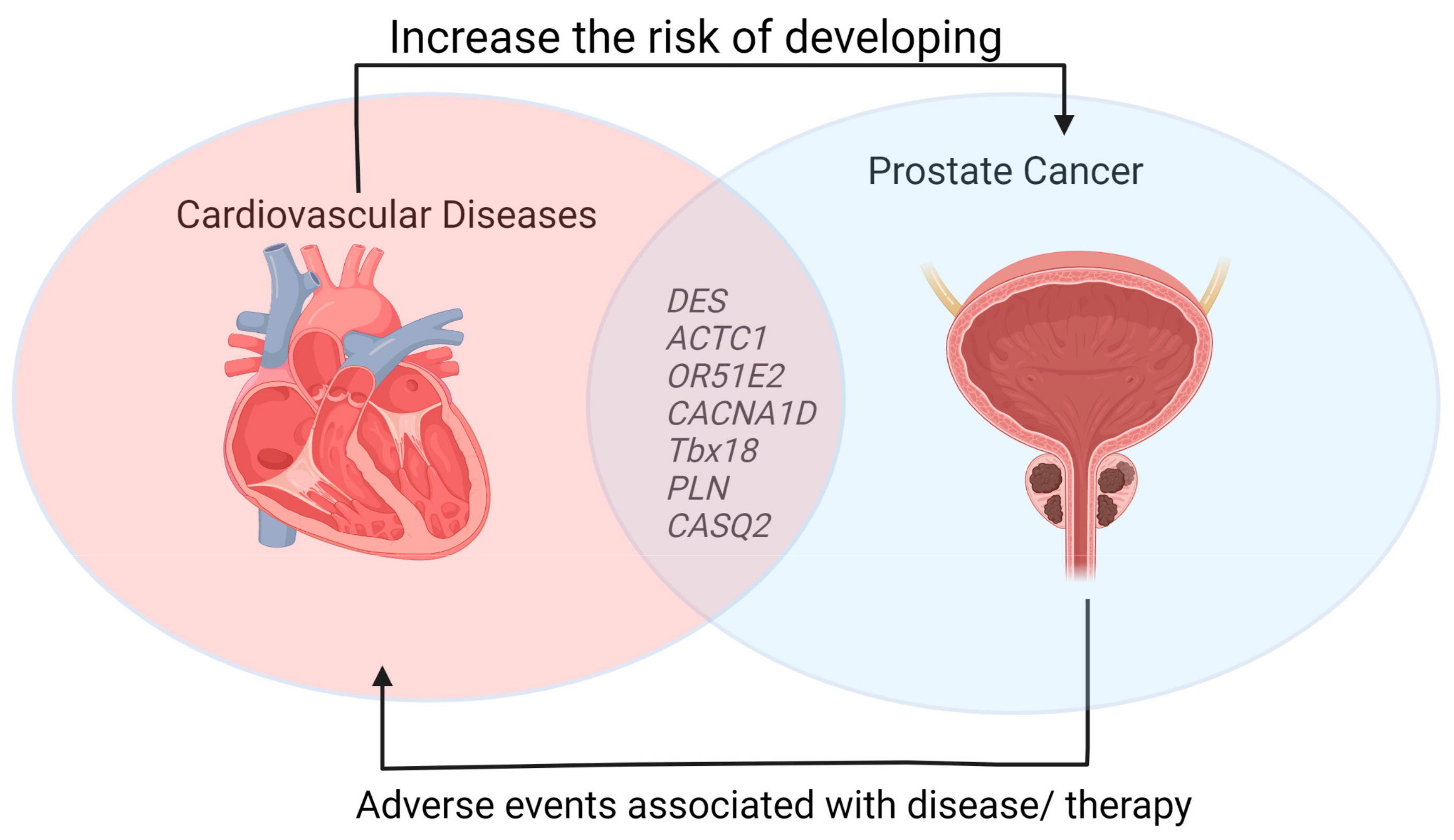 Ijms 24 06984 g003 Ijms 24 06984 g003