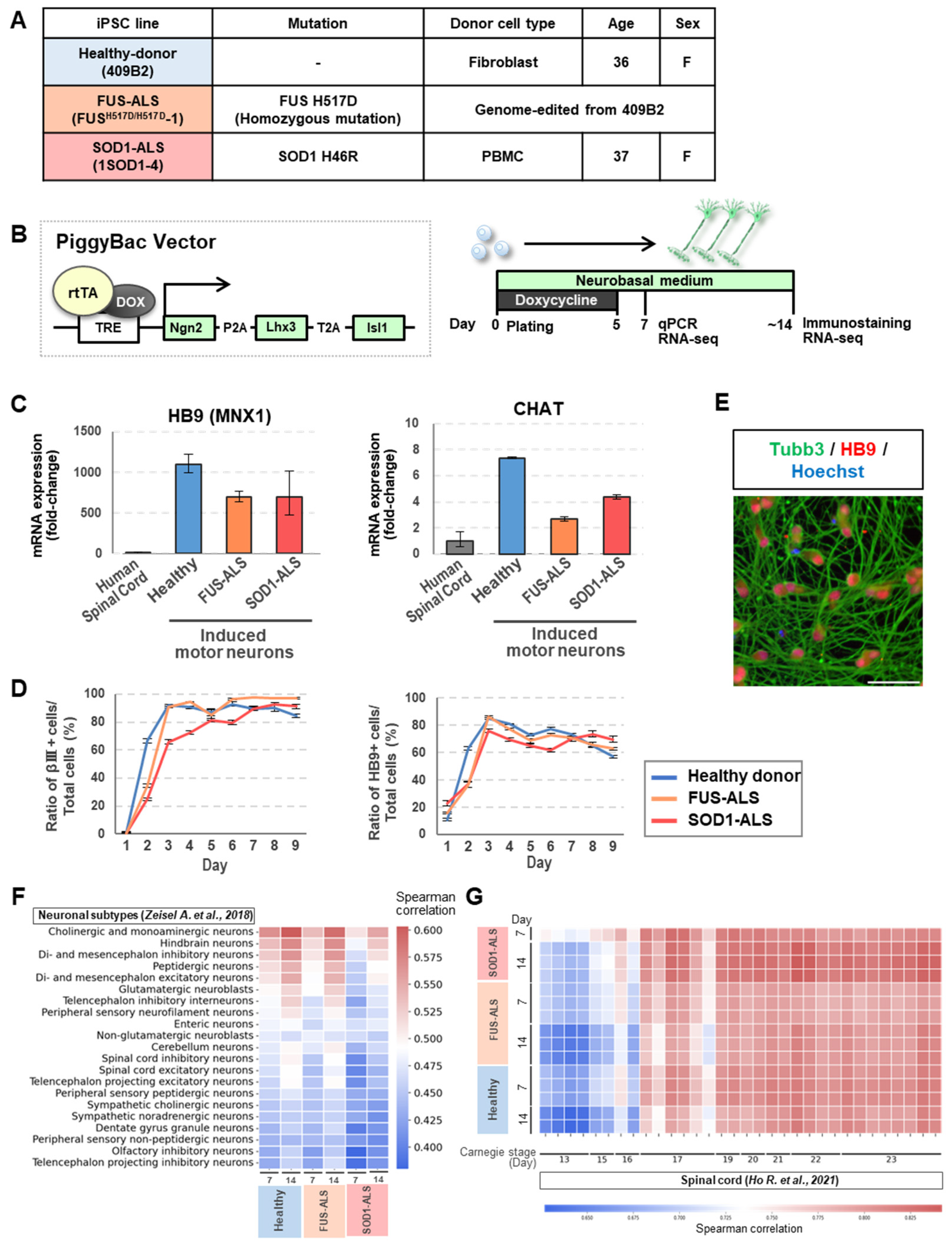 Ijms 24 06987 g001 Ijms 24 06987 g001