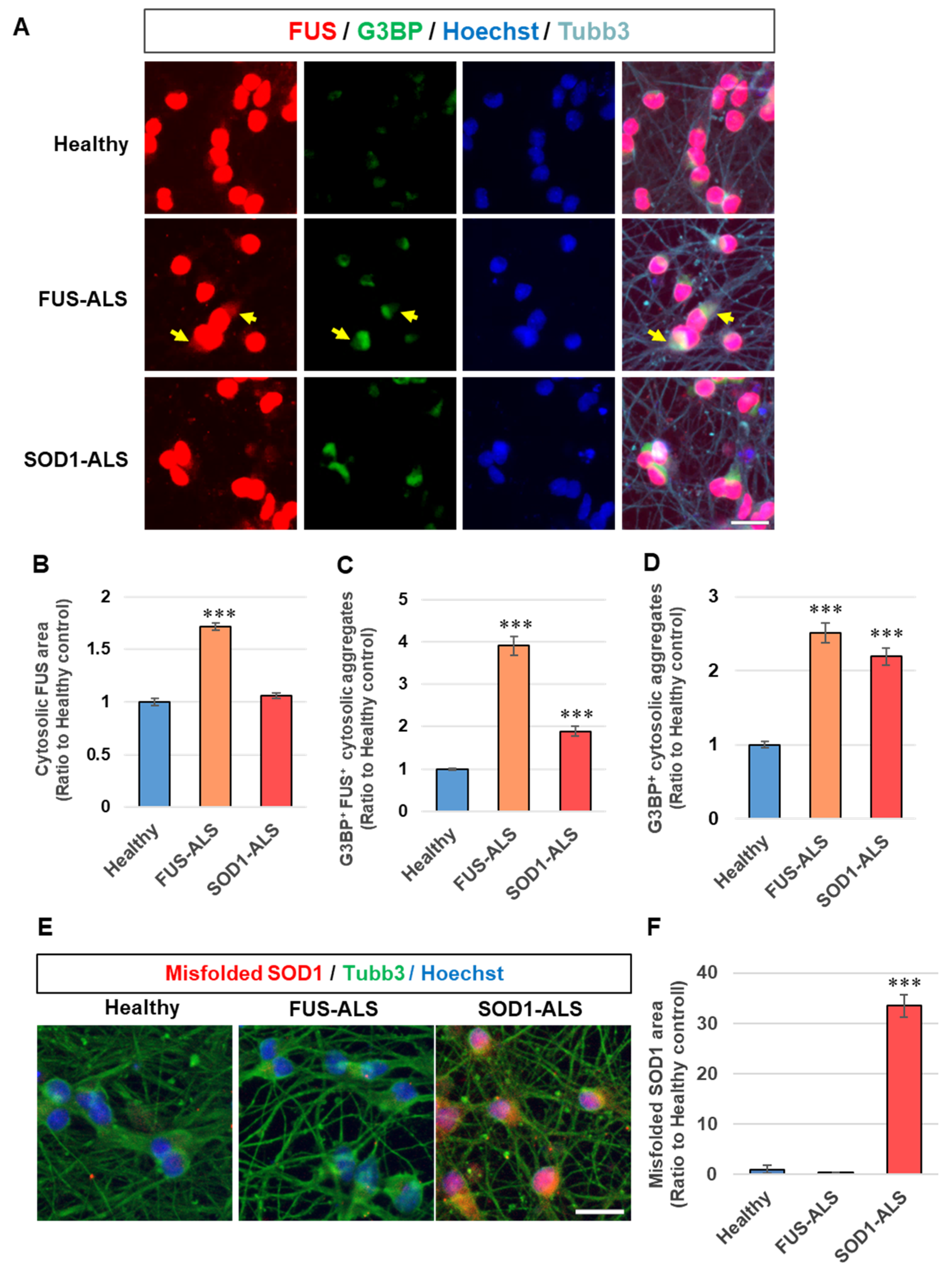 Ijms 24 06987 g002 Ijms 24 06987 g002