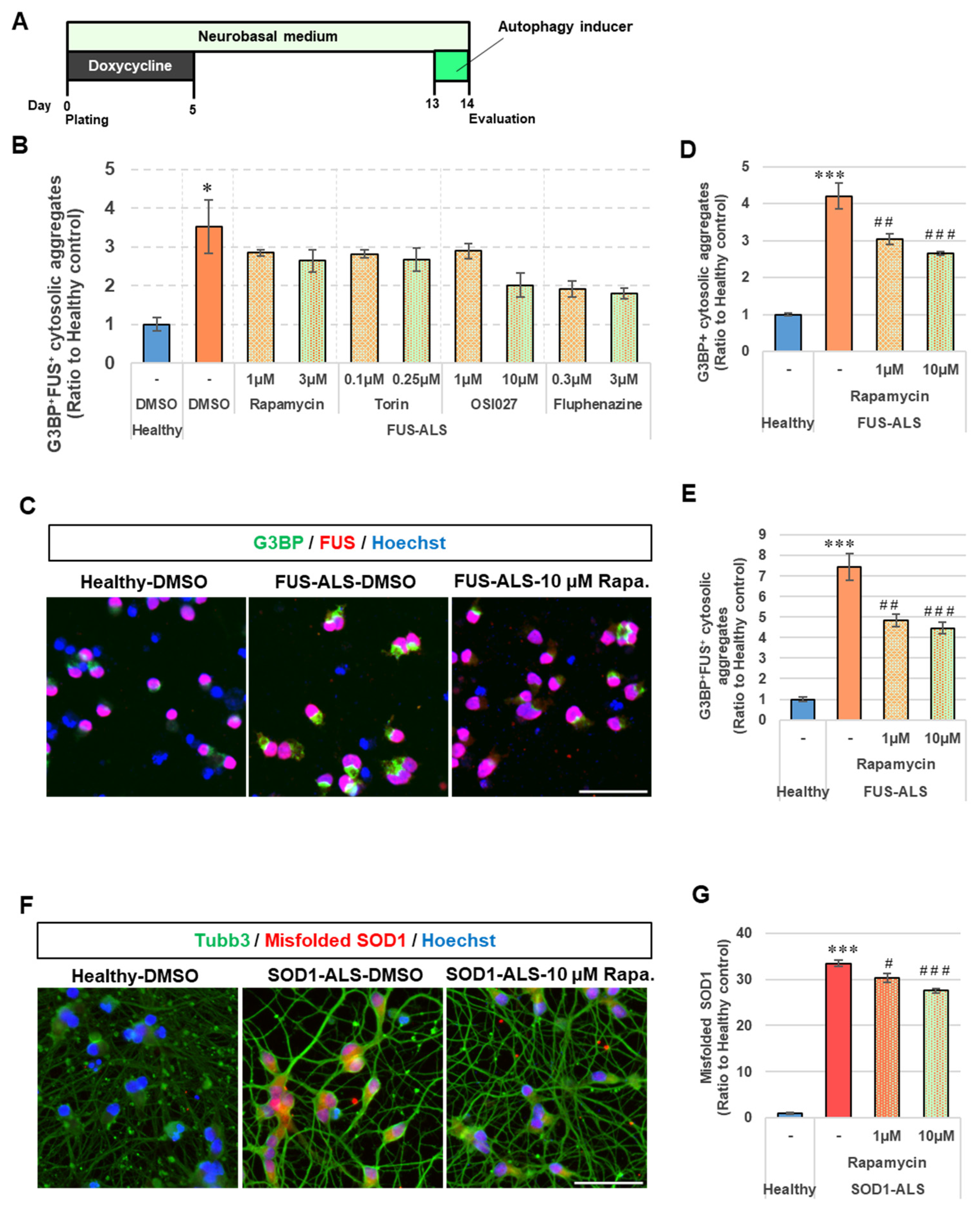 Ijms 24 06987 g003 Ijms 24 06987 g003