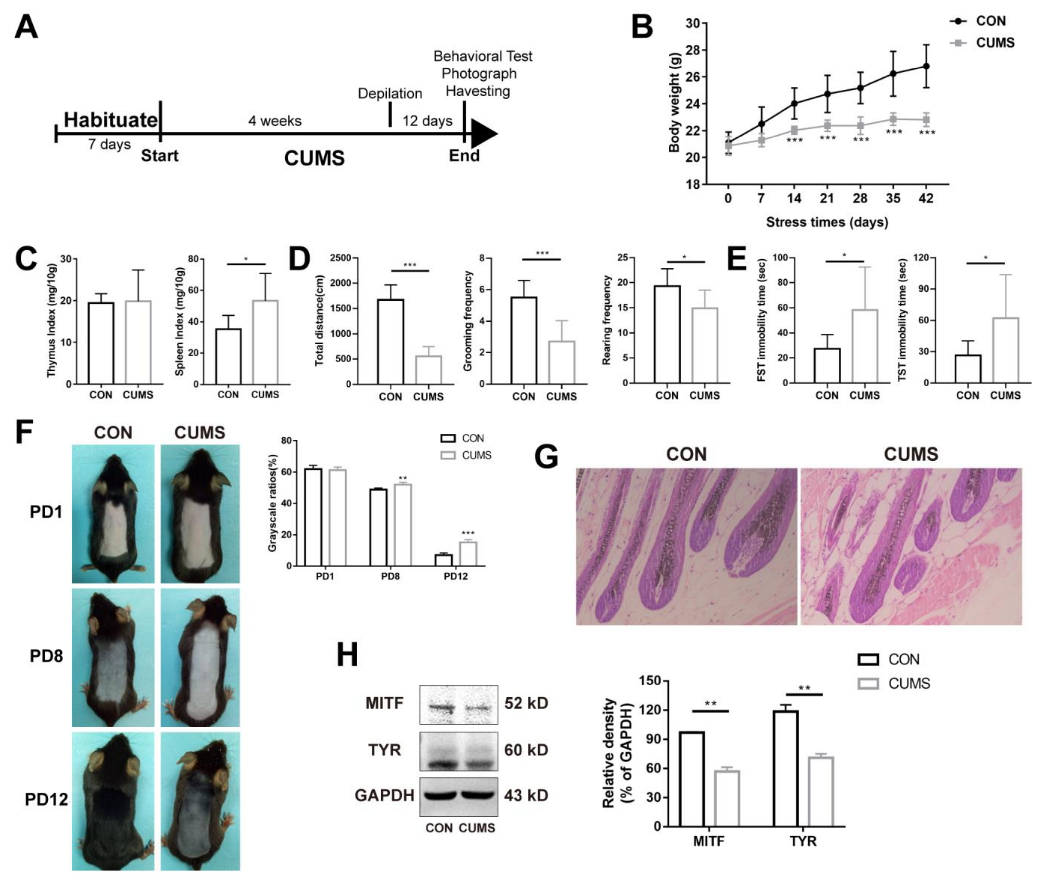 Ijms 24 06990 g001 Ijms 24 06990 g001
