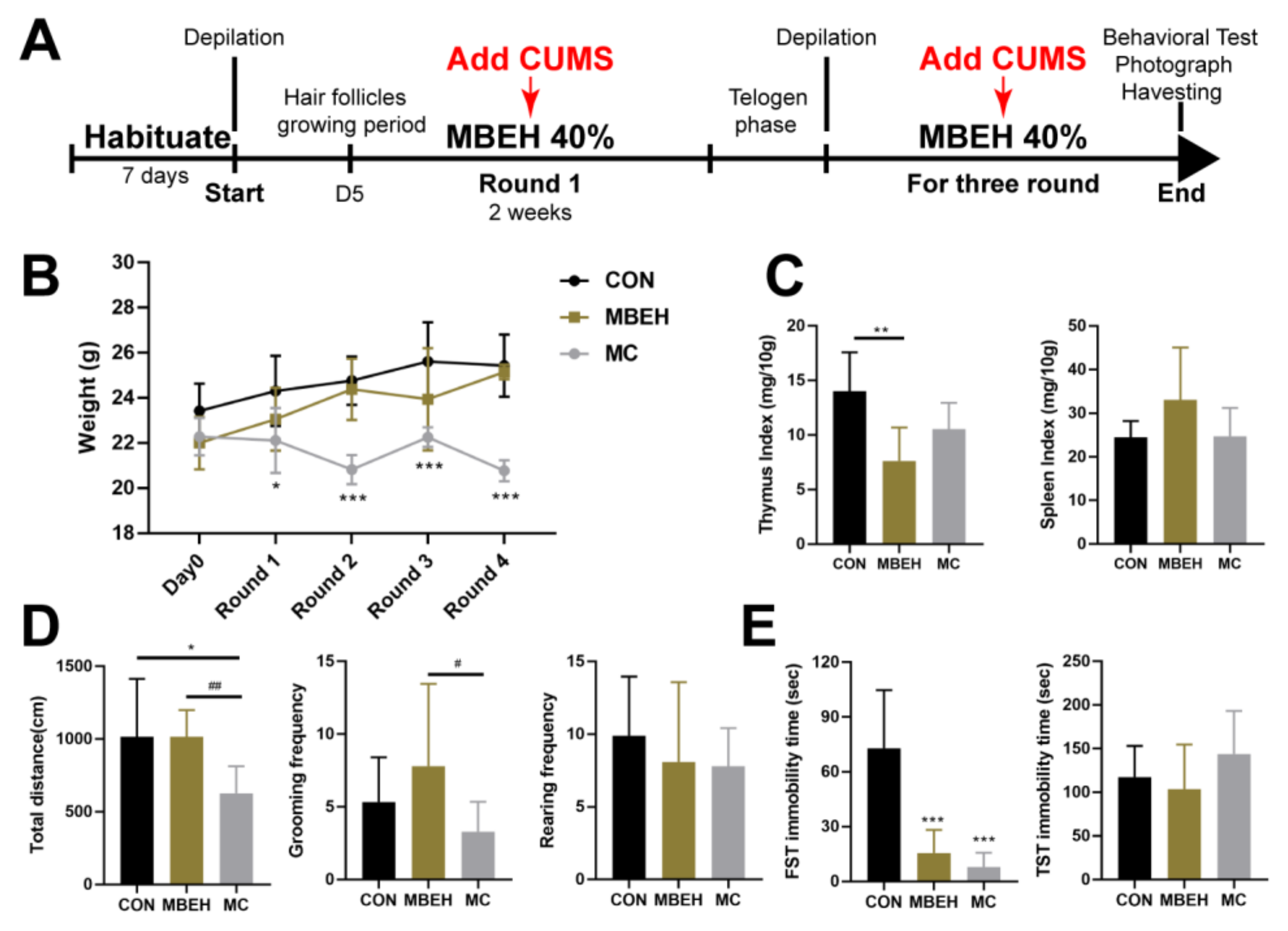 Ijms 24 06990 g002 Ijms 24 06990 g002