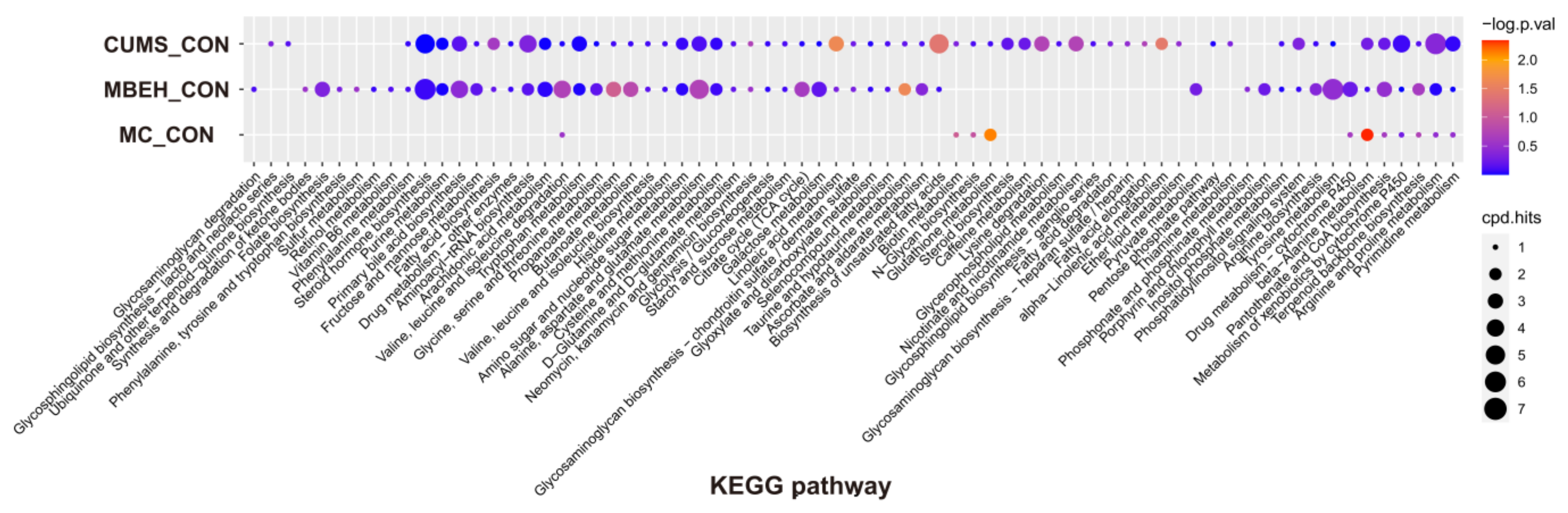 Ijms 24 06990 g006 Ijms 24 06990 g006