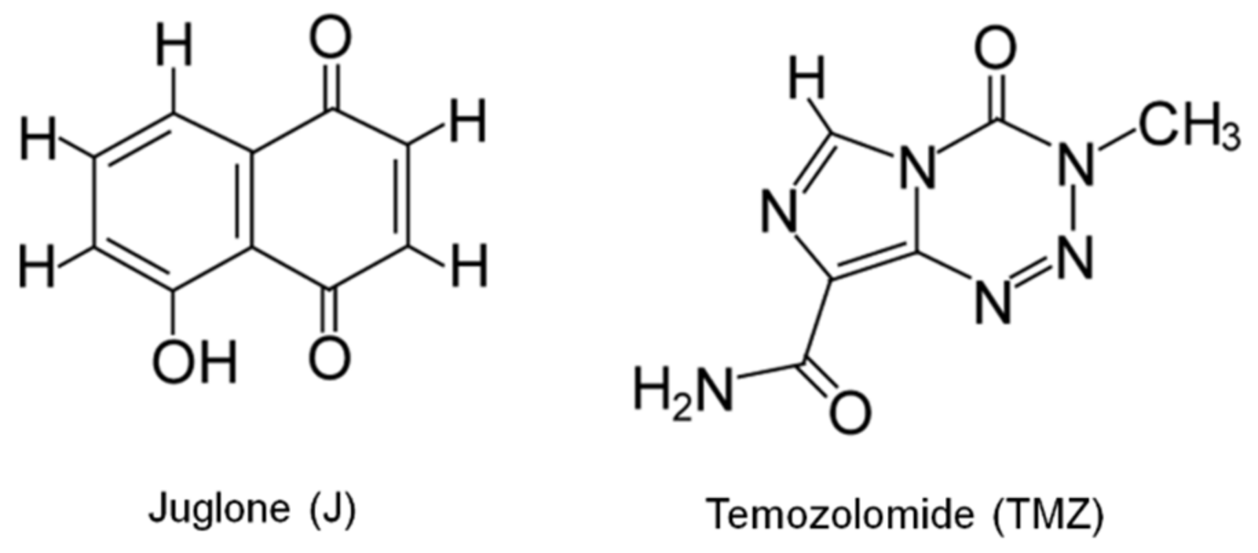 IJMS Free FullText Juglone in Combination with Temozolomide Shows