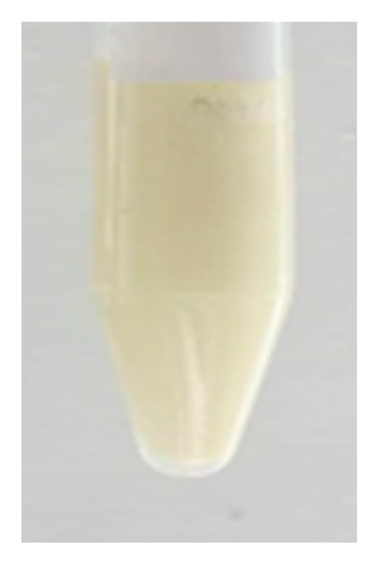 Ijms 24 07004 i003 Ijms 24 07004 i003