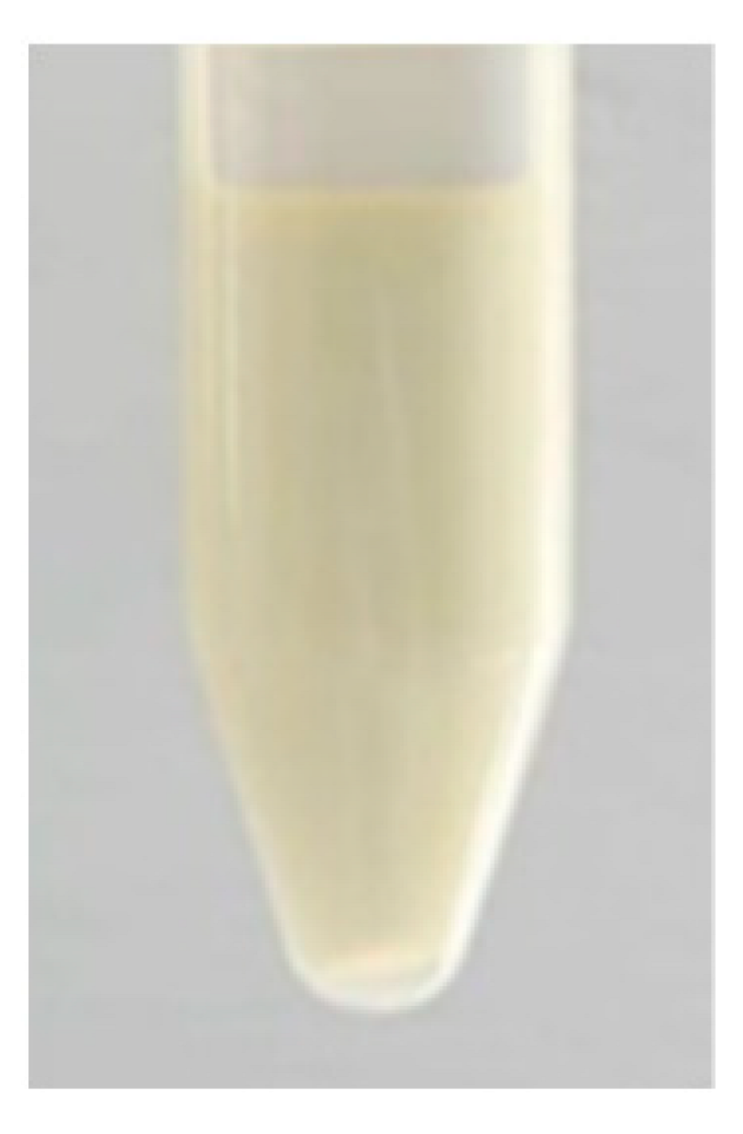 Ijms 24 07004 i004 Ijms 24 07004 i004