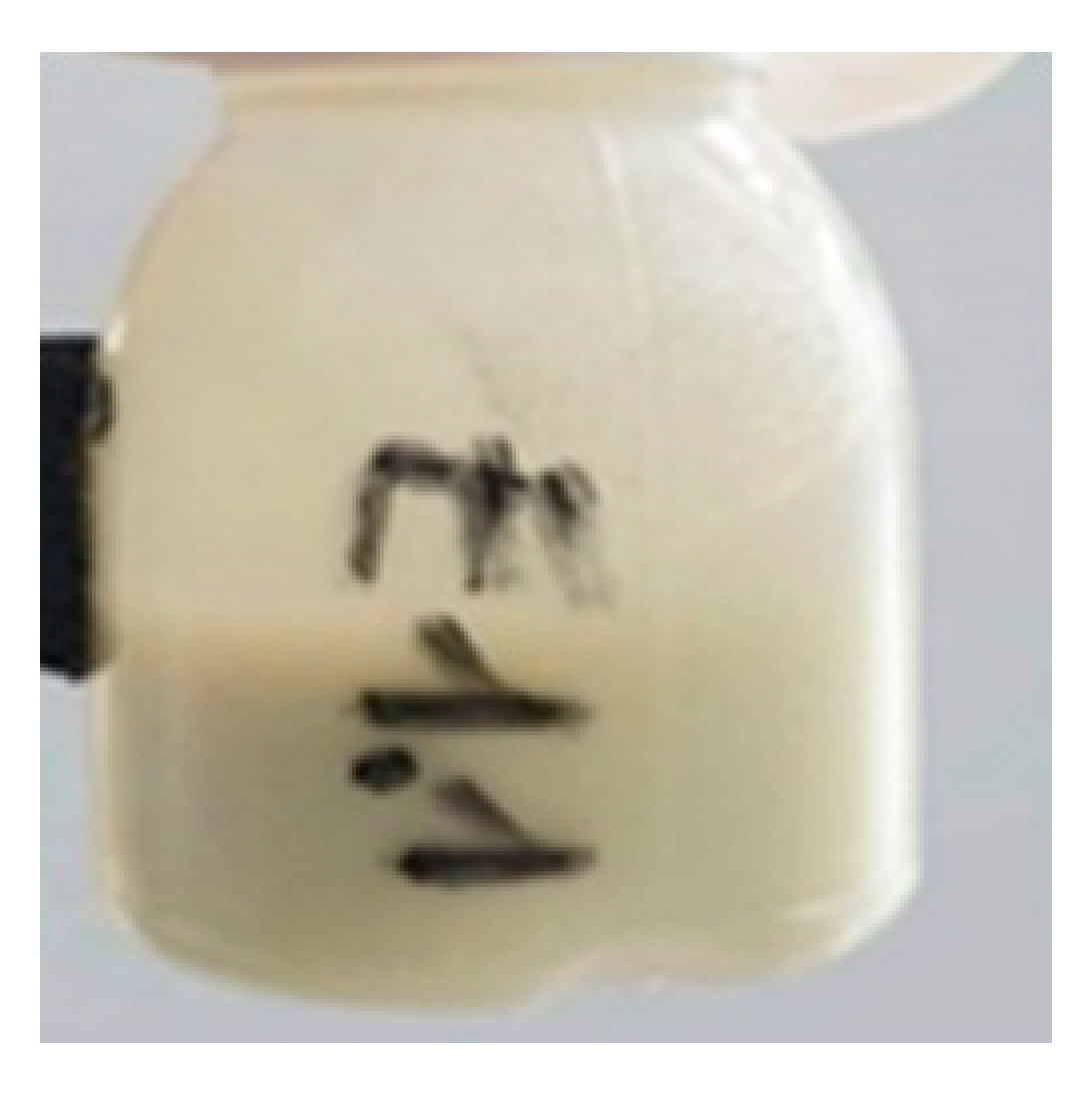 Ijms 24 07004 i006 Ijms 24 07004 i006