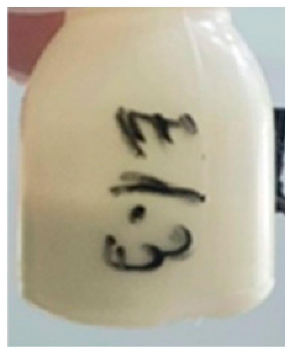 Ijms 24 07004 i008 Ijms 24 07004 i008