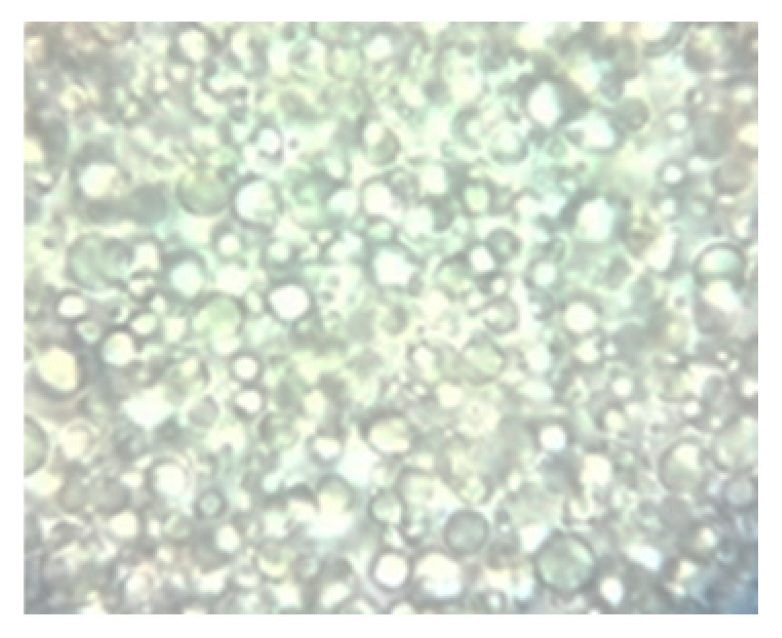 Ijms 24 07004 i009 Ijms 24 07004 i009