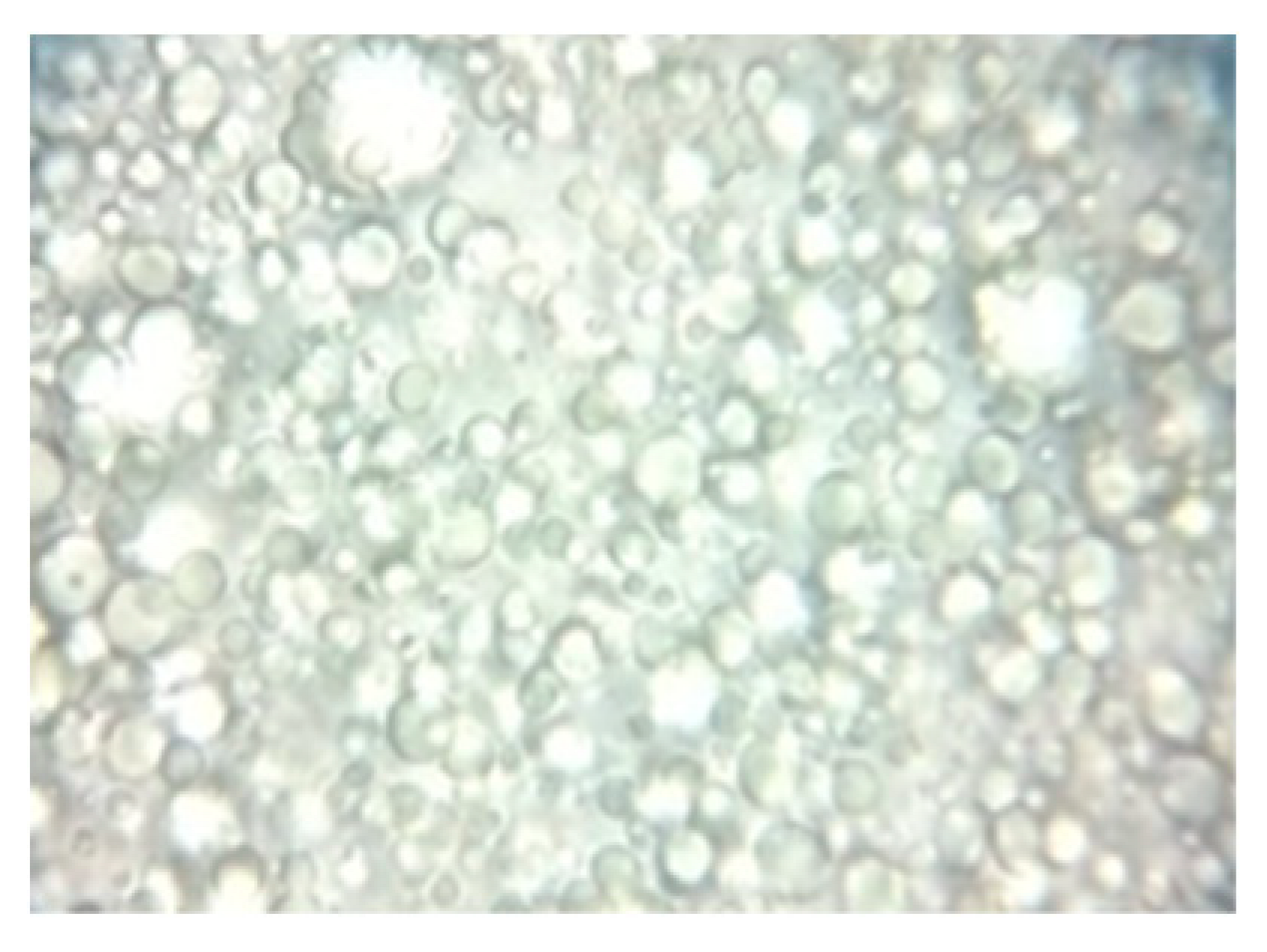 Ijms 24 07004 i010 Ijms 24 07004 i010