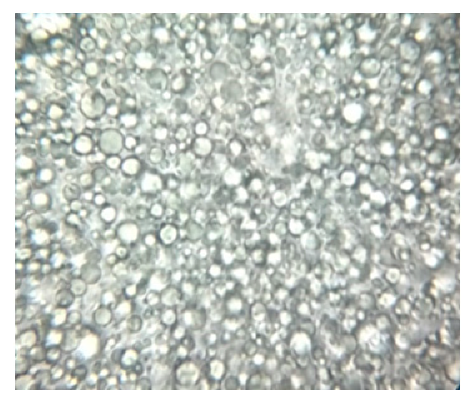 Ijms 24 07004 i011 Ijms 24 07004 i011