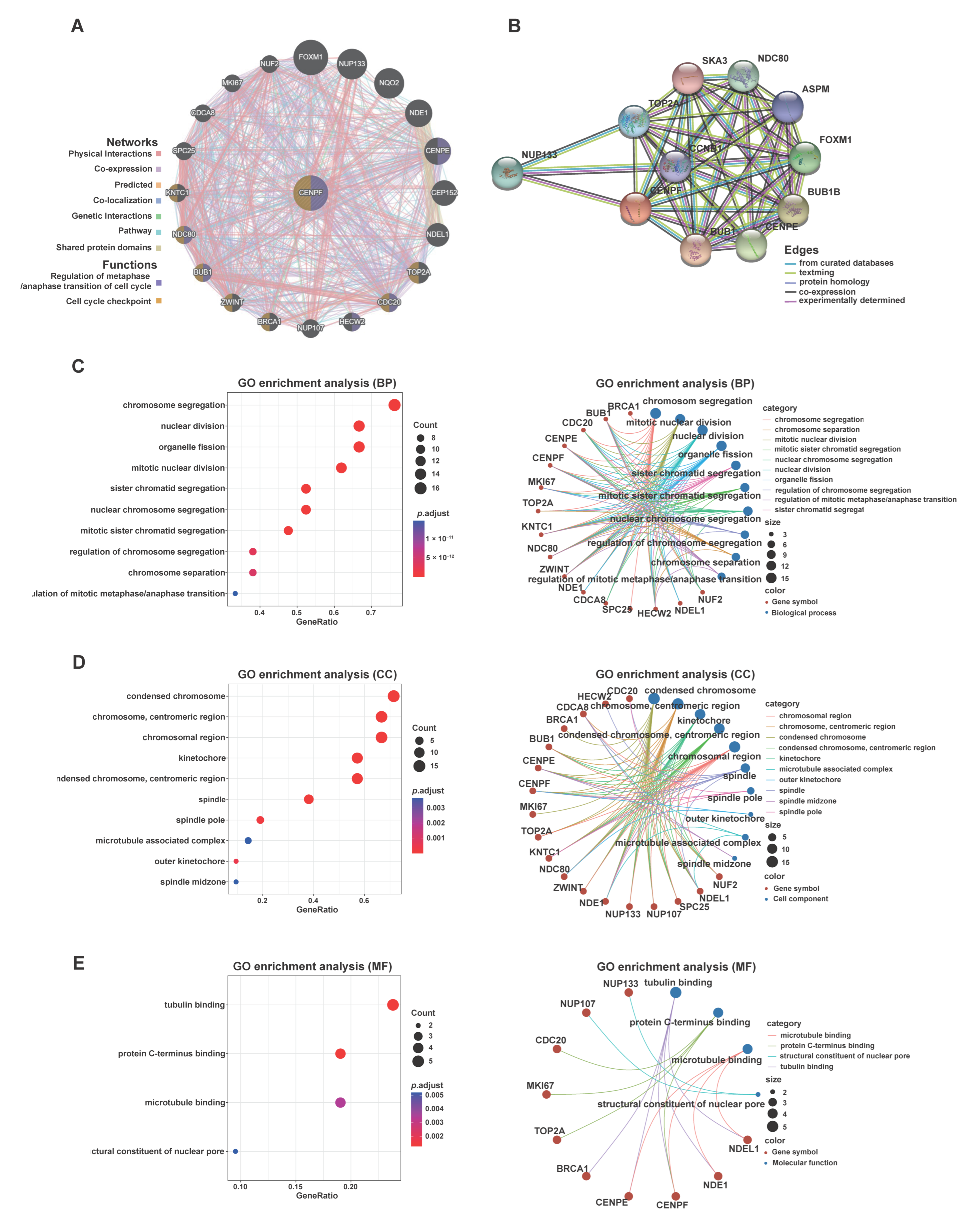 Ijms 24 07010 g005 Ijms 24 07010 g005