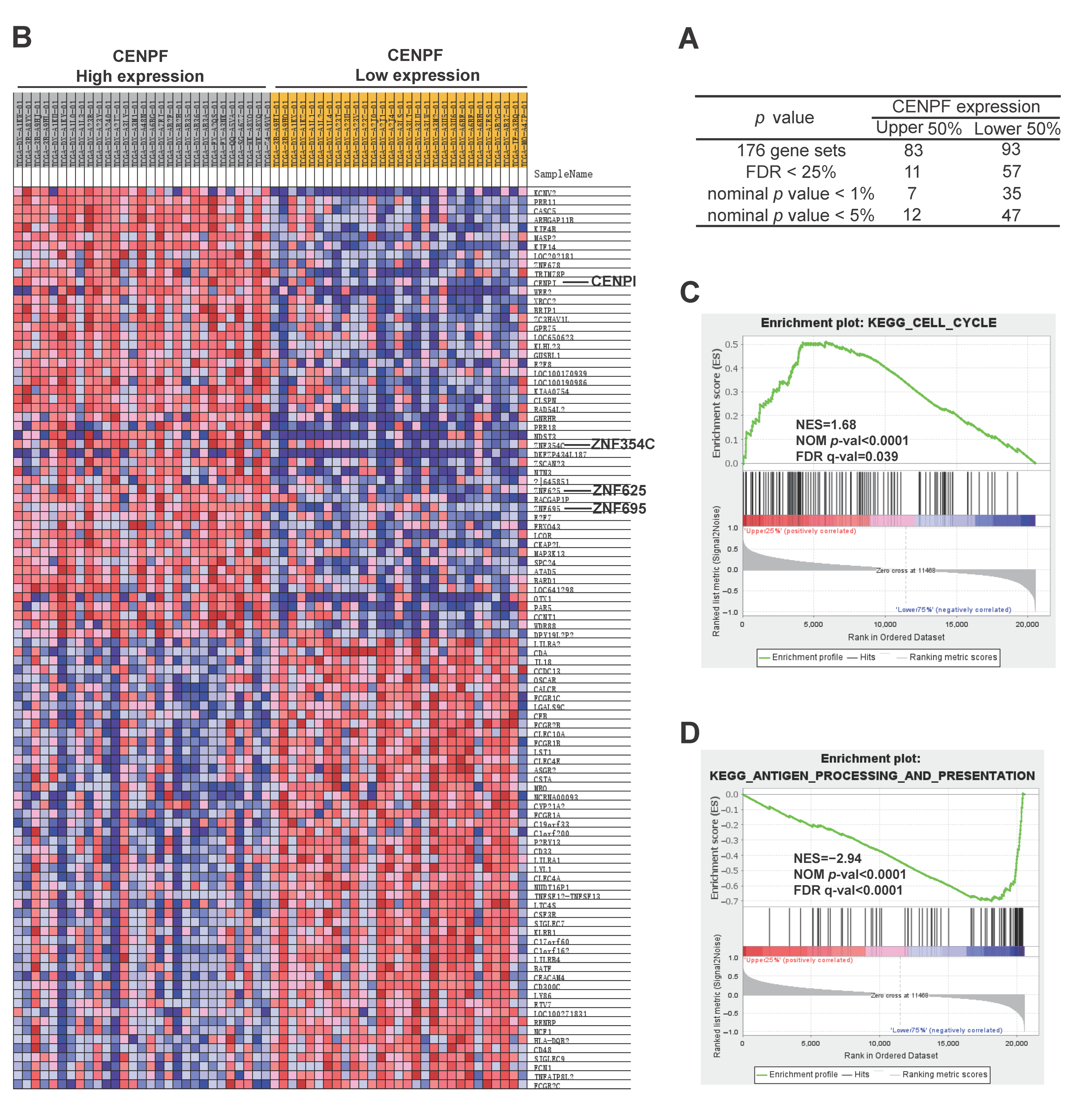 Ijms 24 07010 g006 Ijms 24 07010 g006