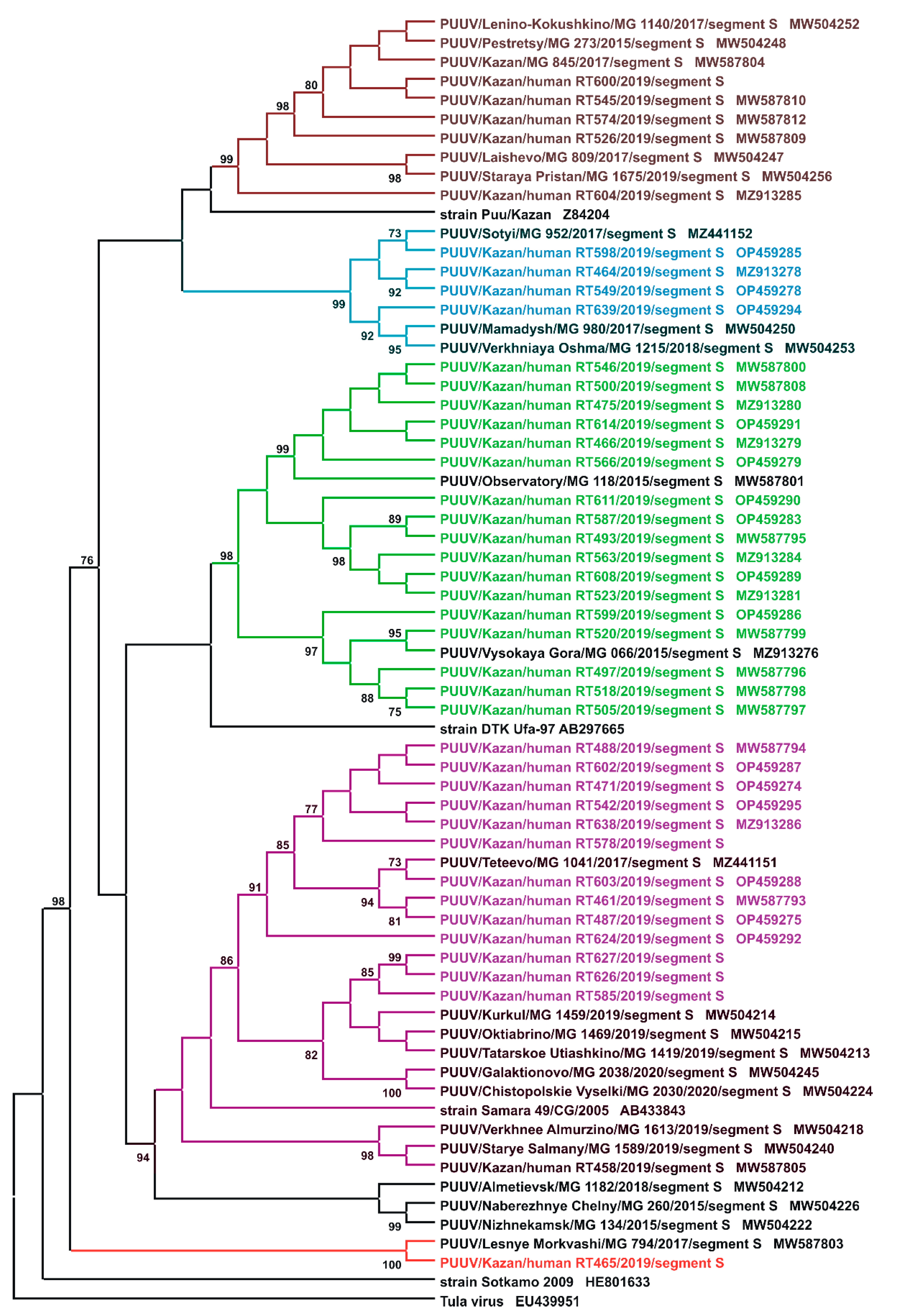 Ijms 24 07016 g002 Ijms 24 07016 g002