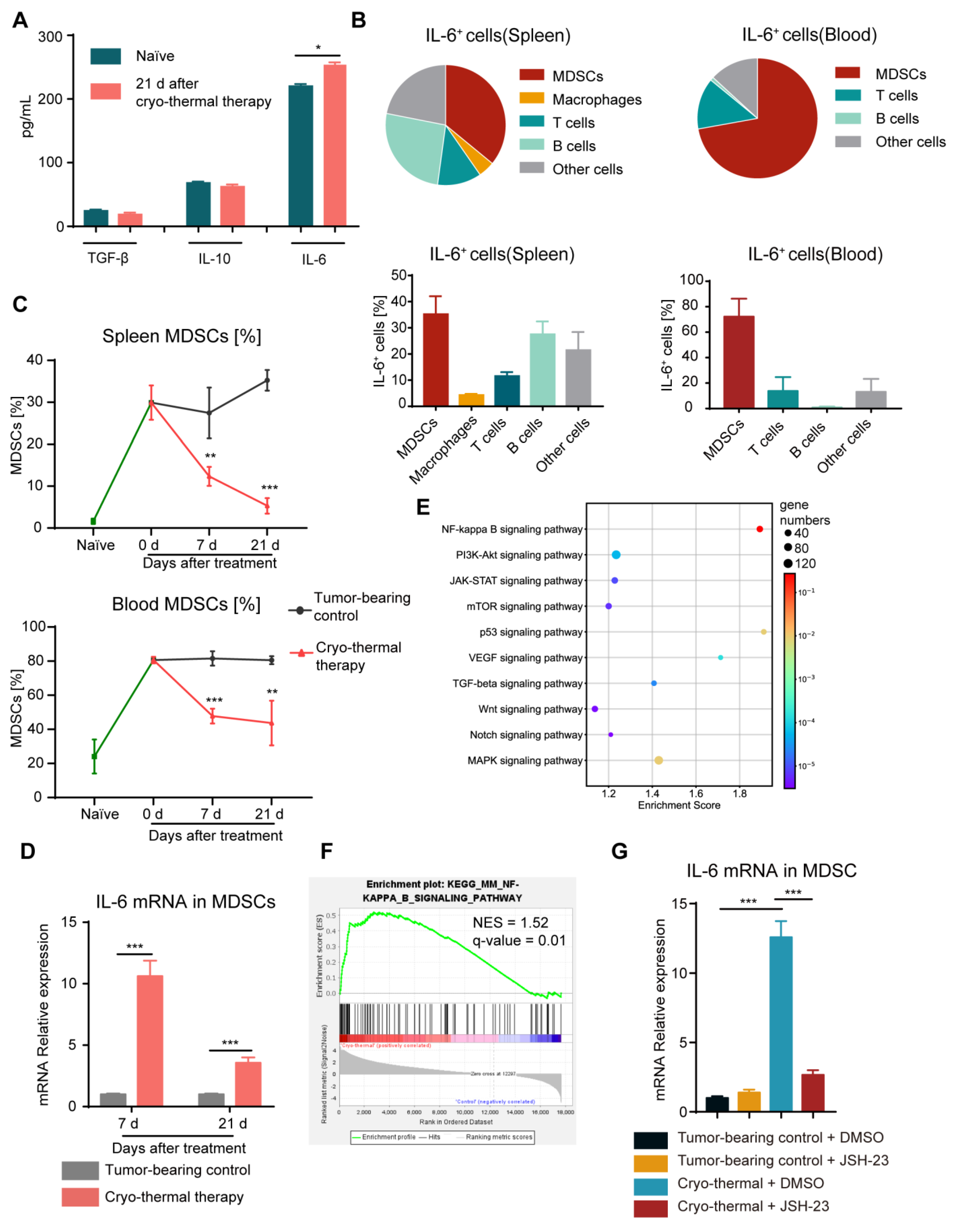 Ijms 24 07018 g001 Ijms 24 07018 g001