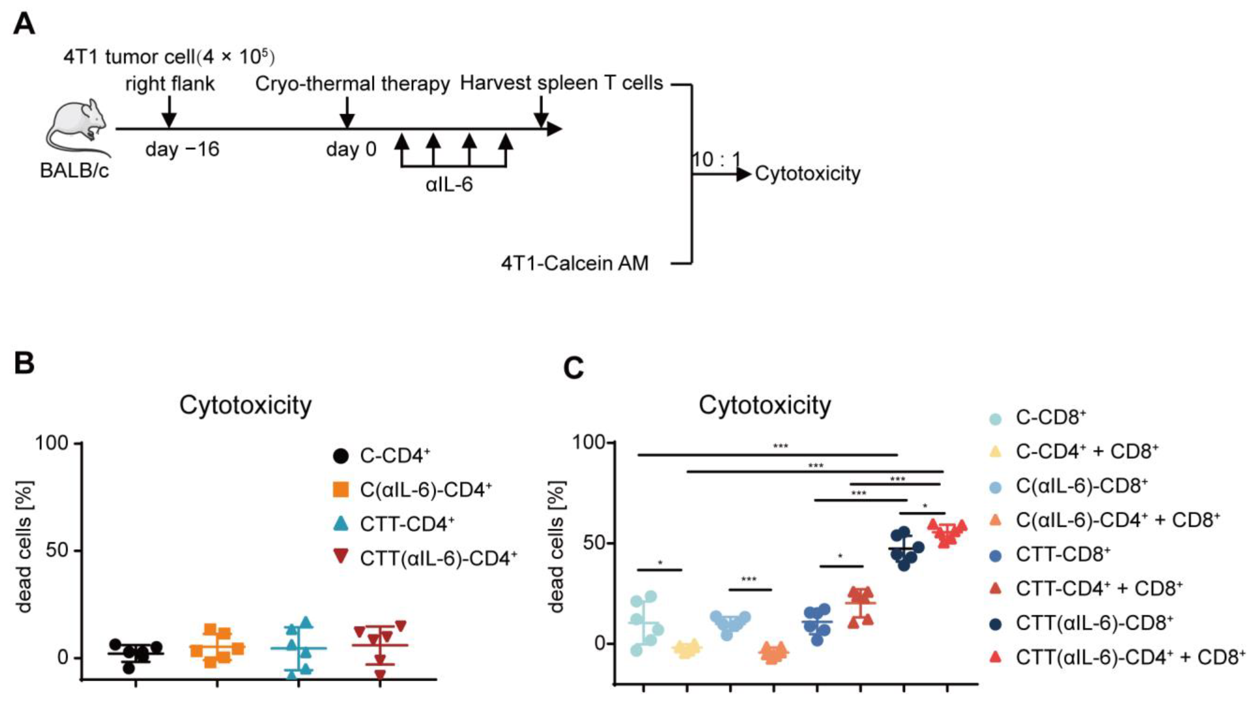 Ijms 24 07018 g005 Ijms 24 07018 g005