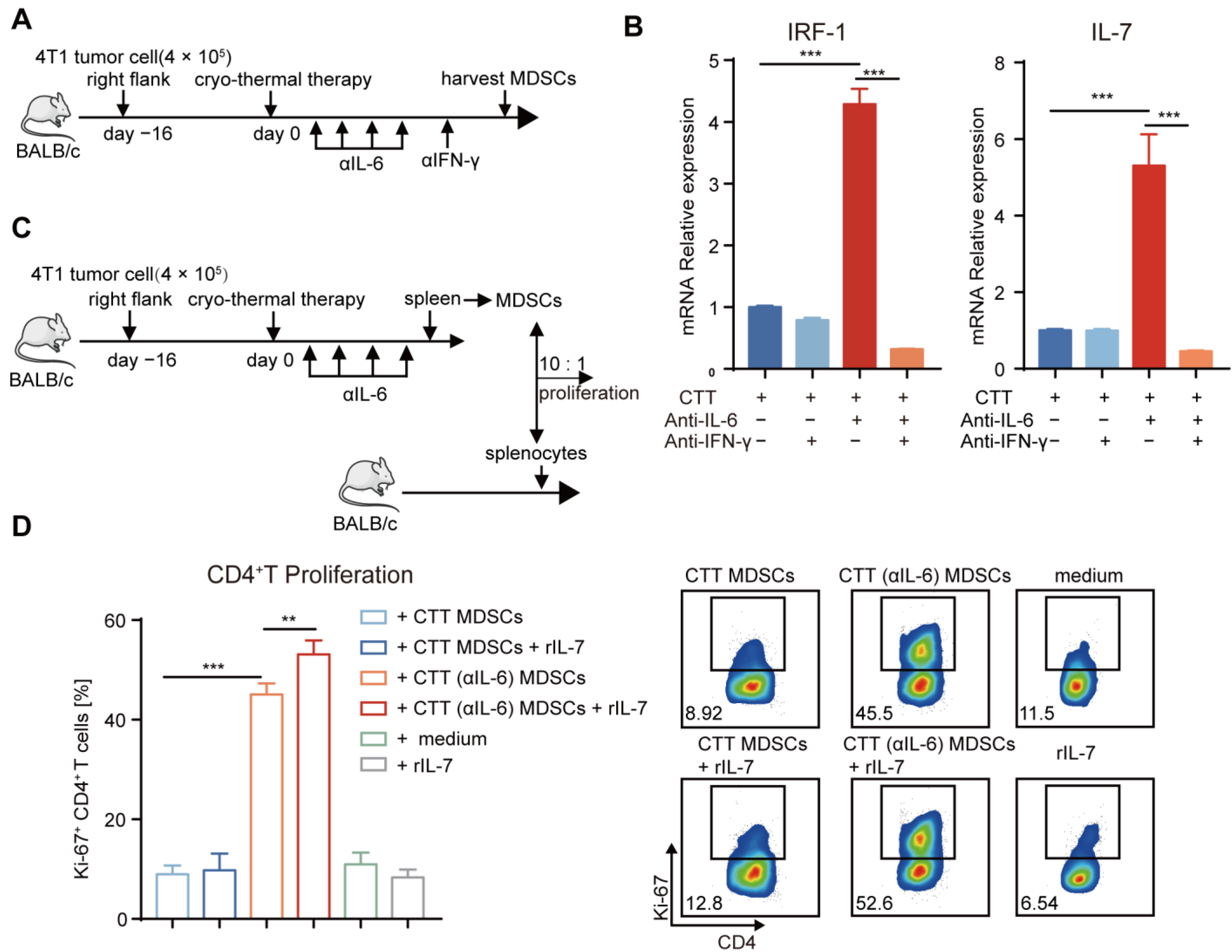 Ijms 24 07018 g007 Ijms 24 07018 g007