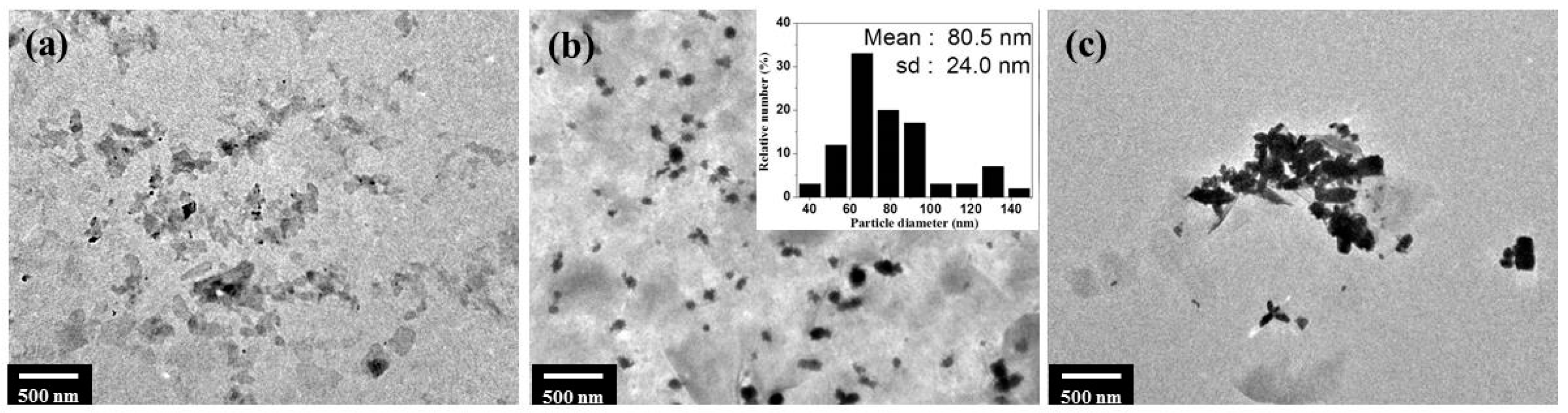 Ijms 24 07024 g004 Ijms 24 07024 g004