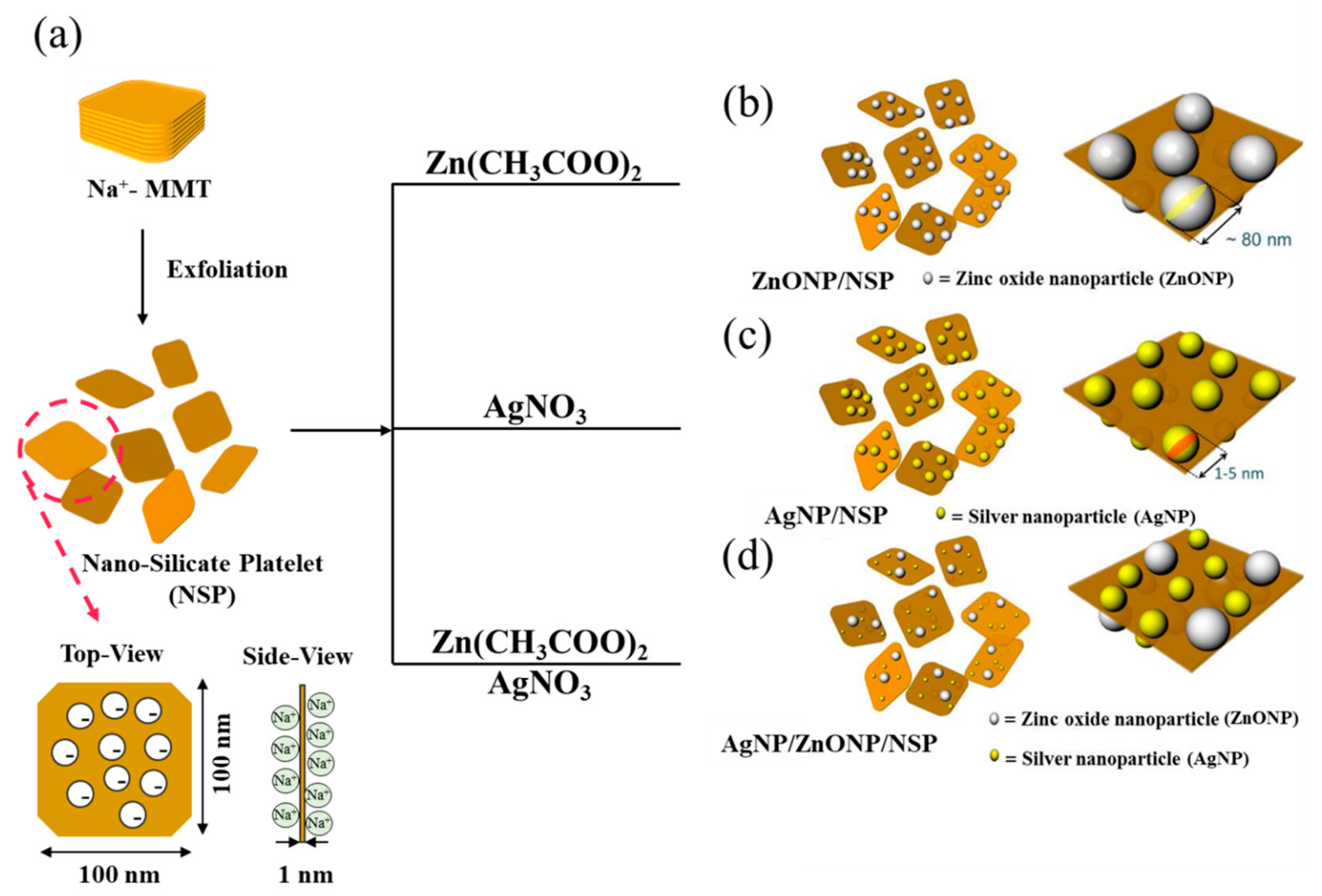 Ijms 24 07024 sch001 Ijms 24 07024 sch001