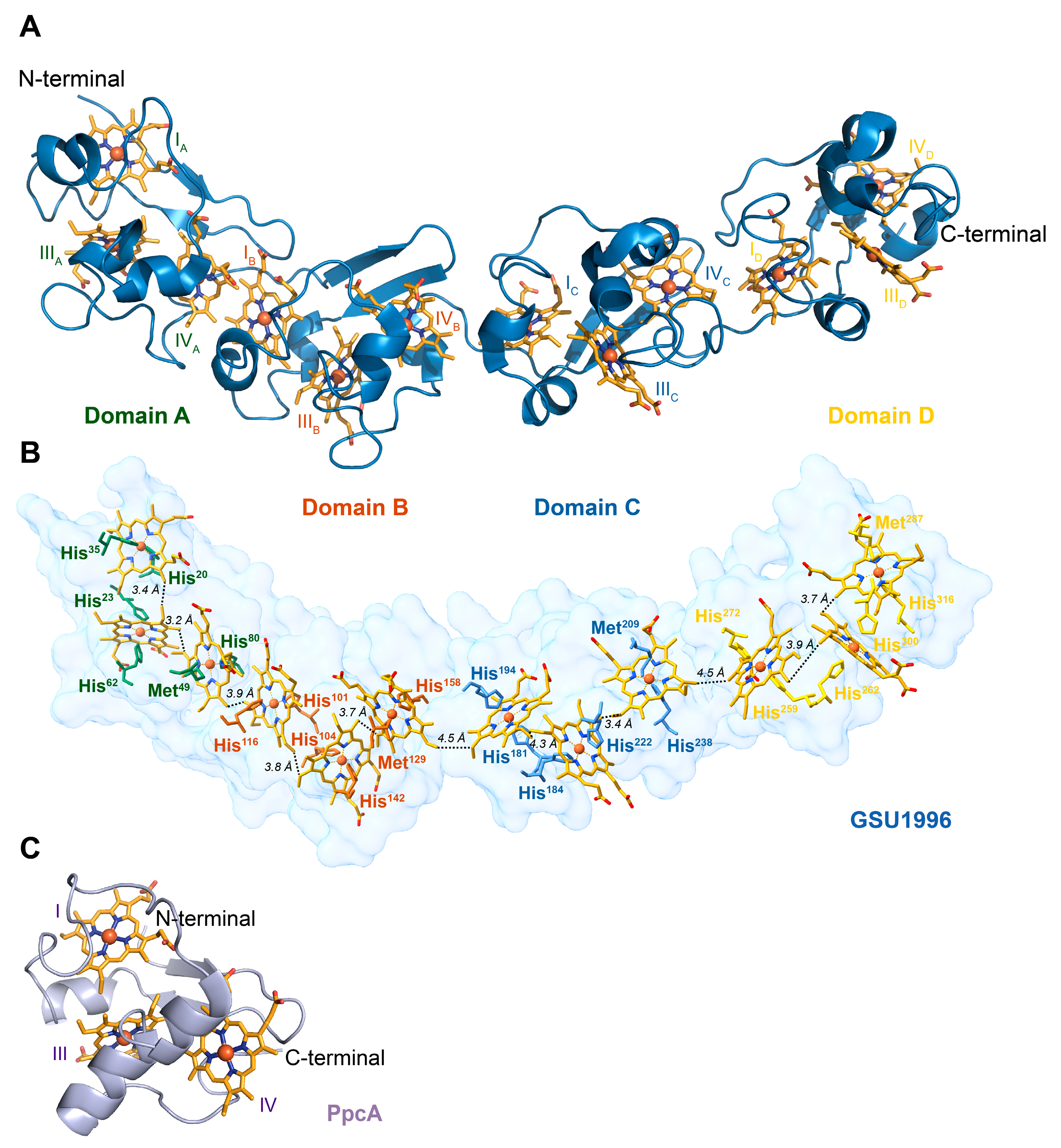 Ijms 24 07032 g001 Ijms 24 07032 g001