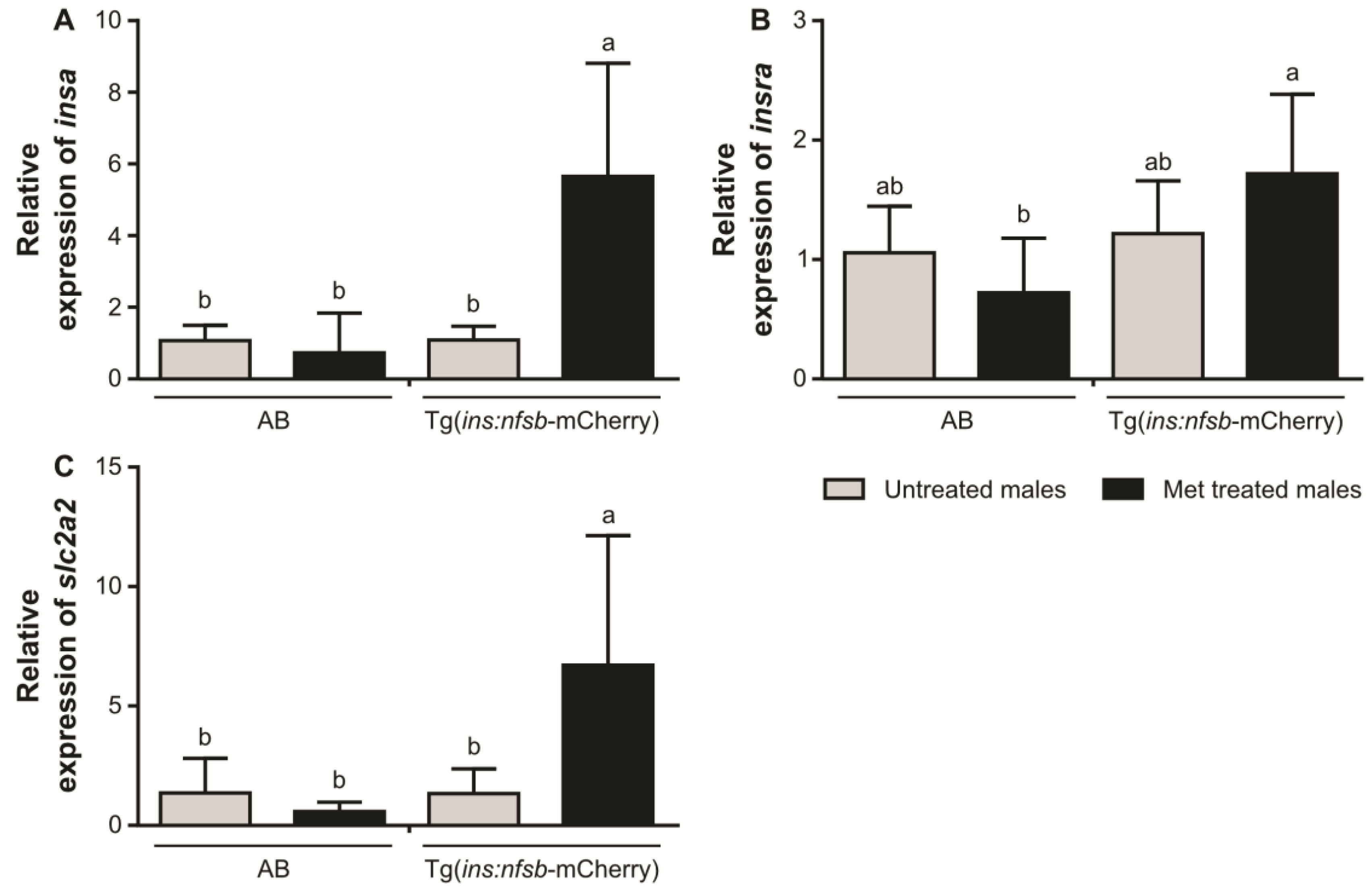 Ijms 24 07035 g002 Ijms 24 07035 g002