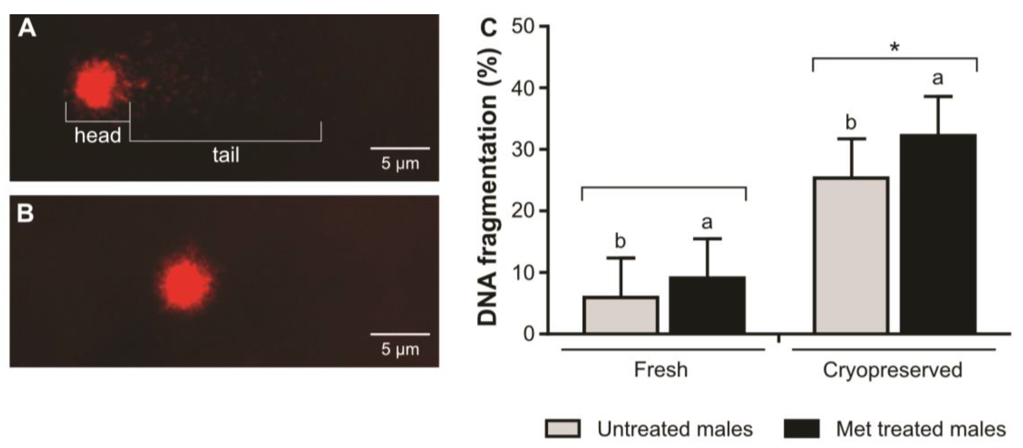 Ijms 24 07035 g005 Ijms 24 07035 g005