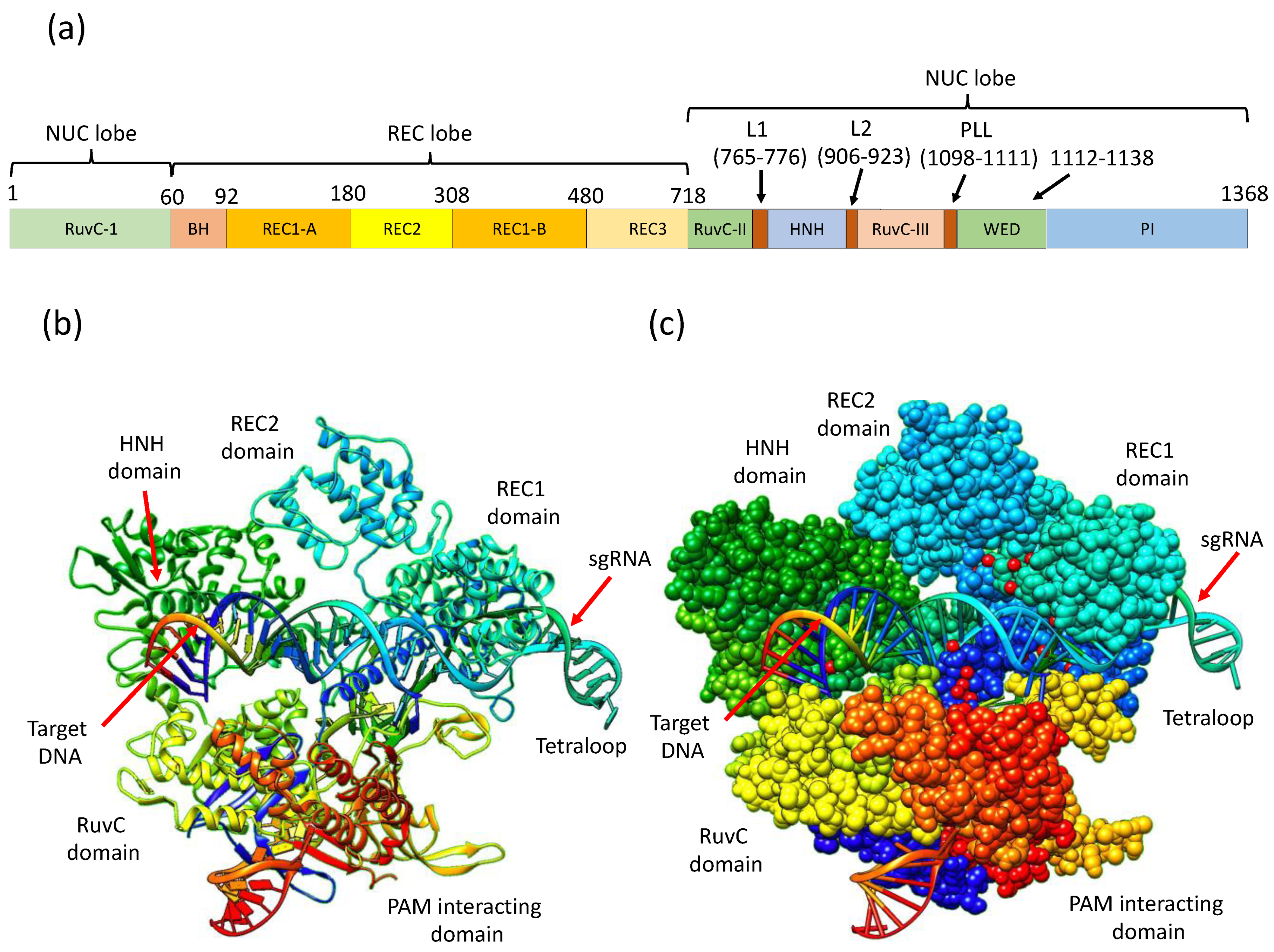 Ijms 24 07052 g001 Ijms 24 07052 g001