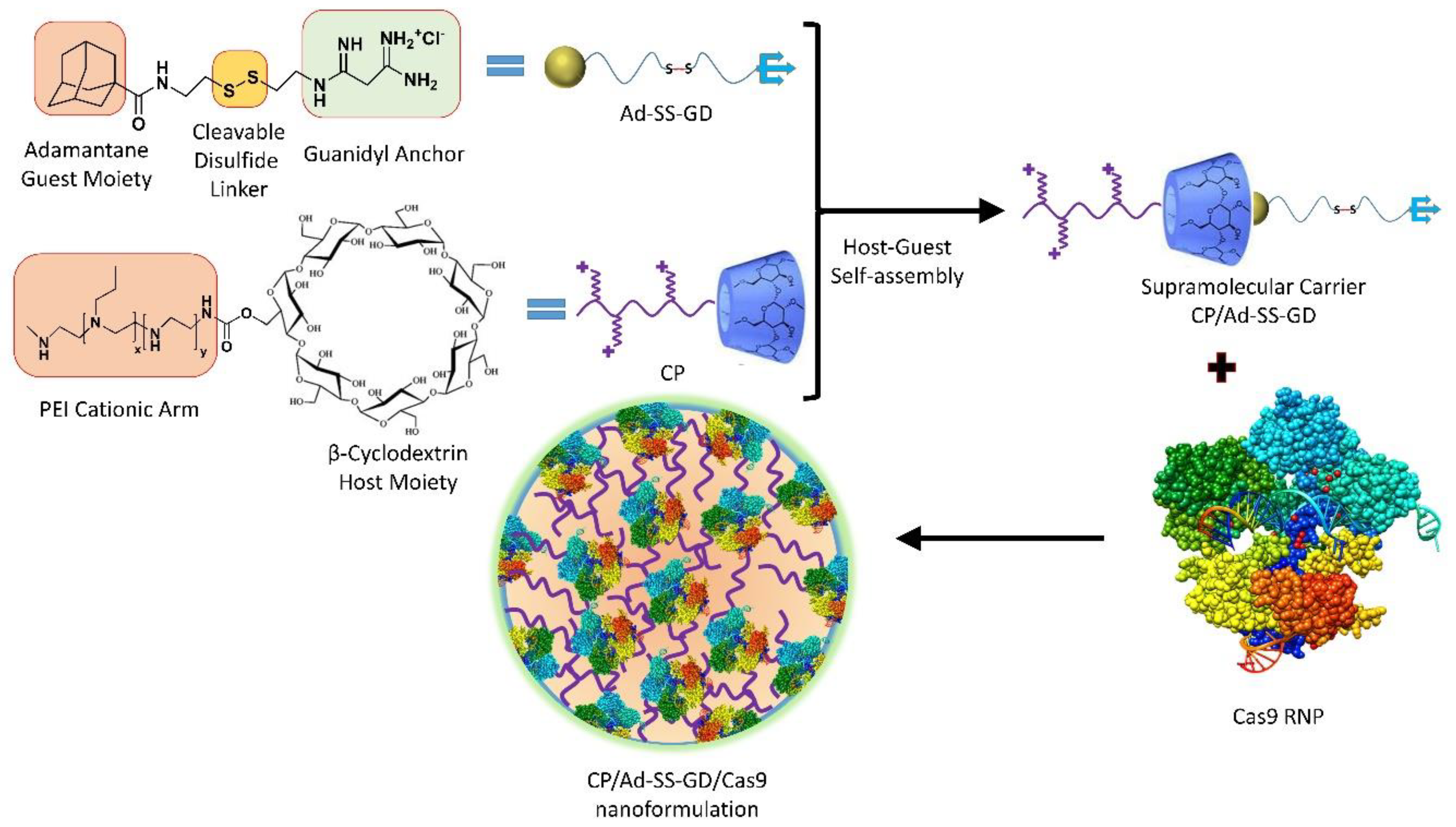 Ijms 24 07052 g008 Ijms 24 07052 g008