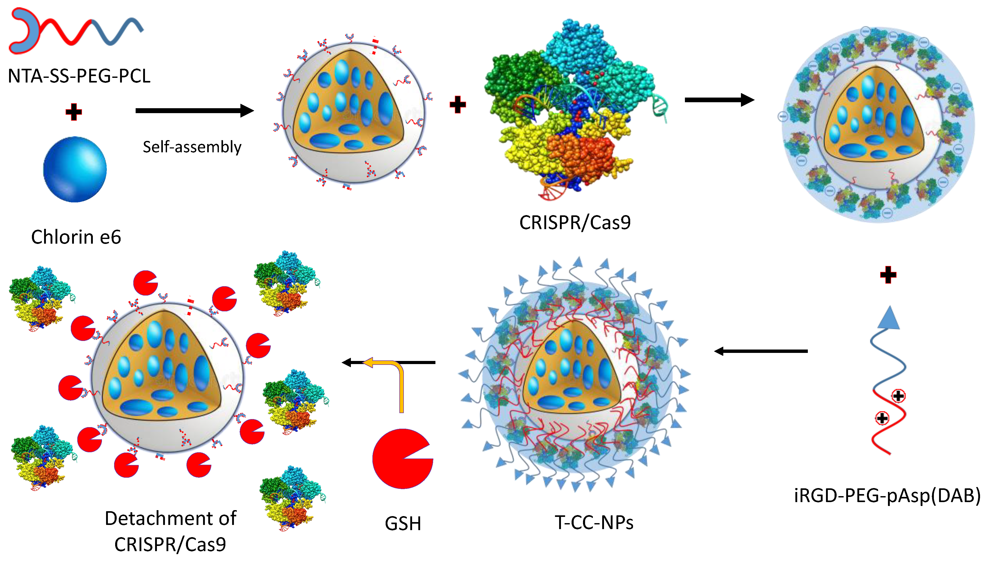 Ijms 24 07052 g009 Ijms 24 07052 g009