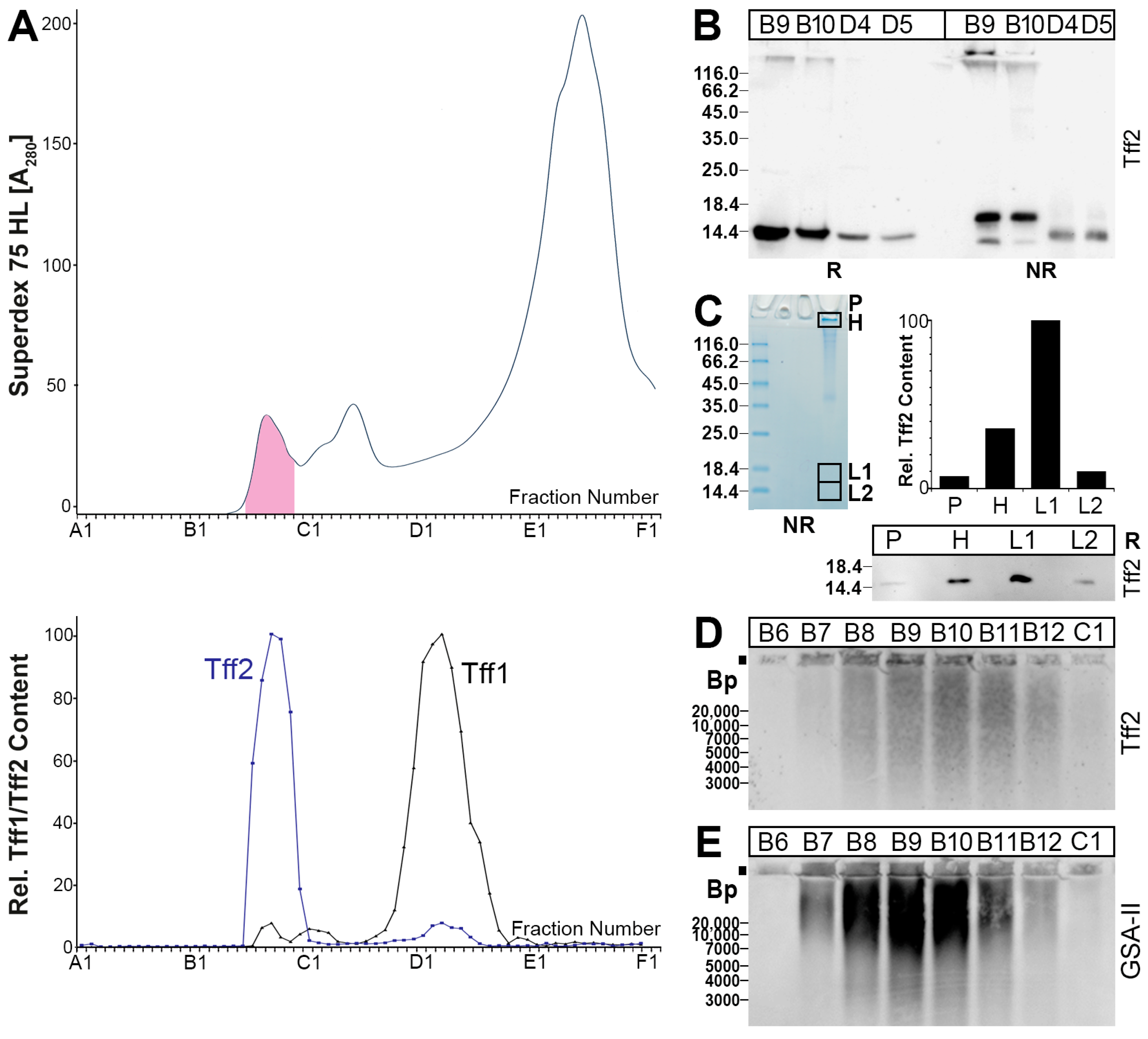 Ijms 24 07059 g002 Ijms 24 07059 g002