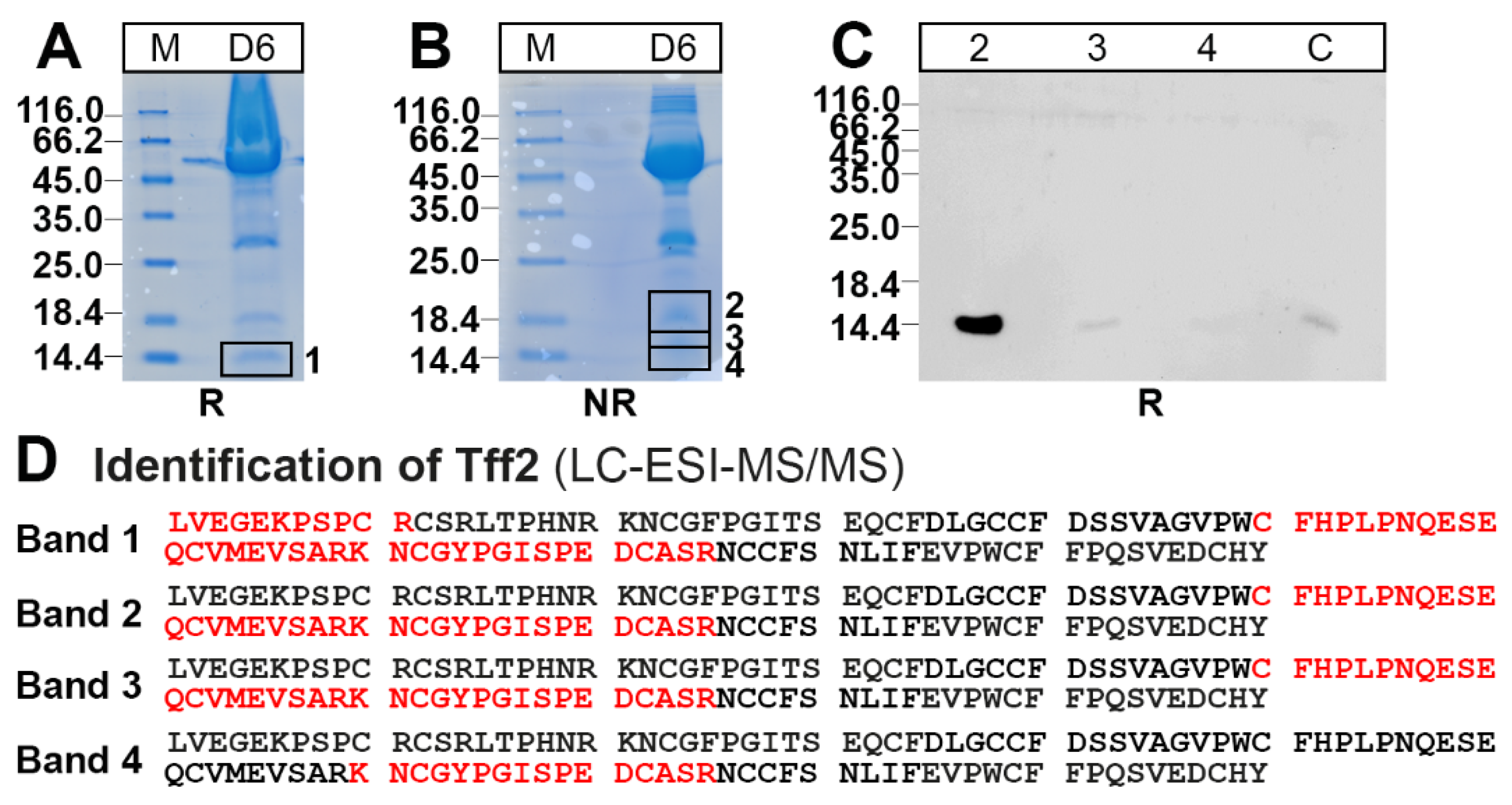 Ijms 24 07059 g004 Ijms 24 07059 g004