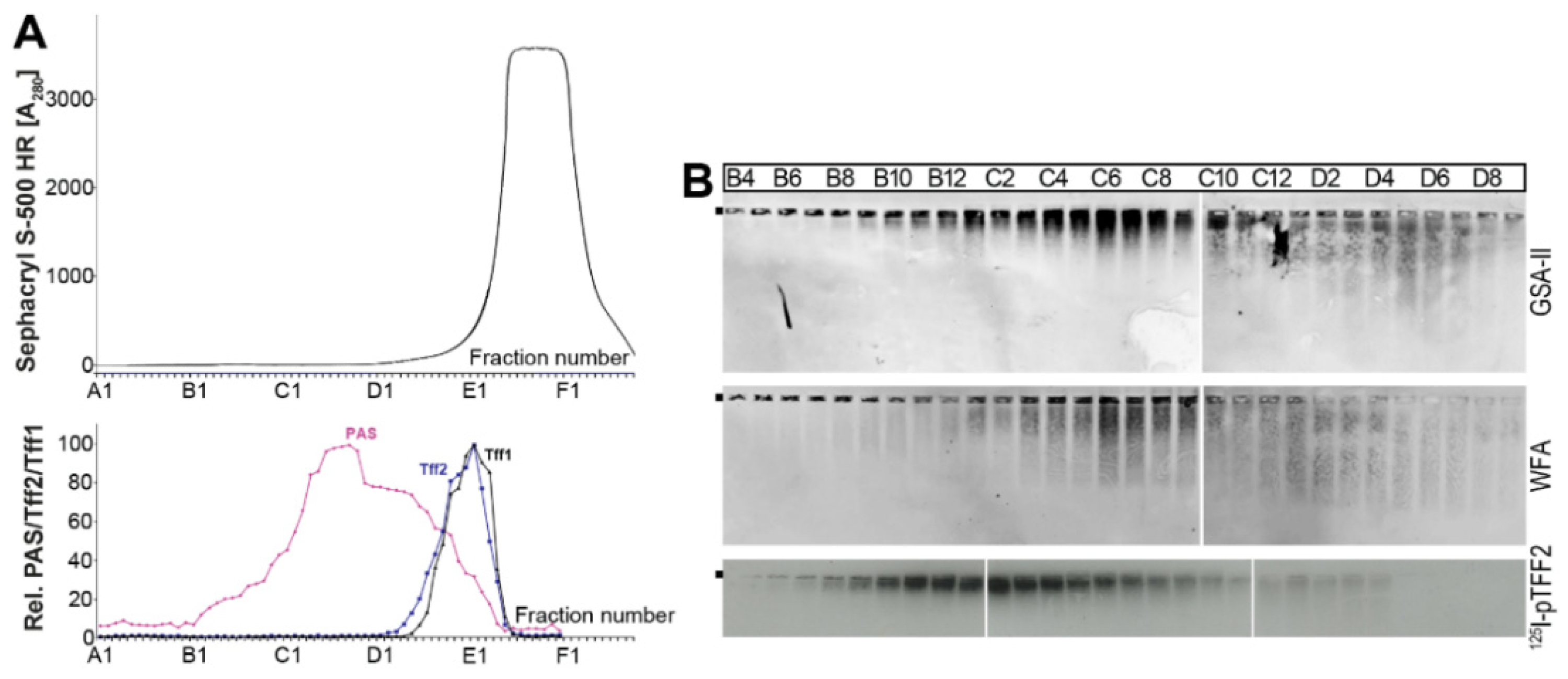 Ijms 24 07059 g006 Ijms 24 07059 g006