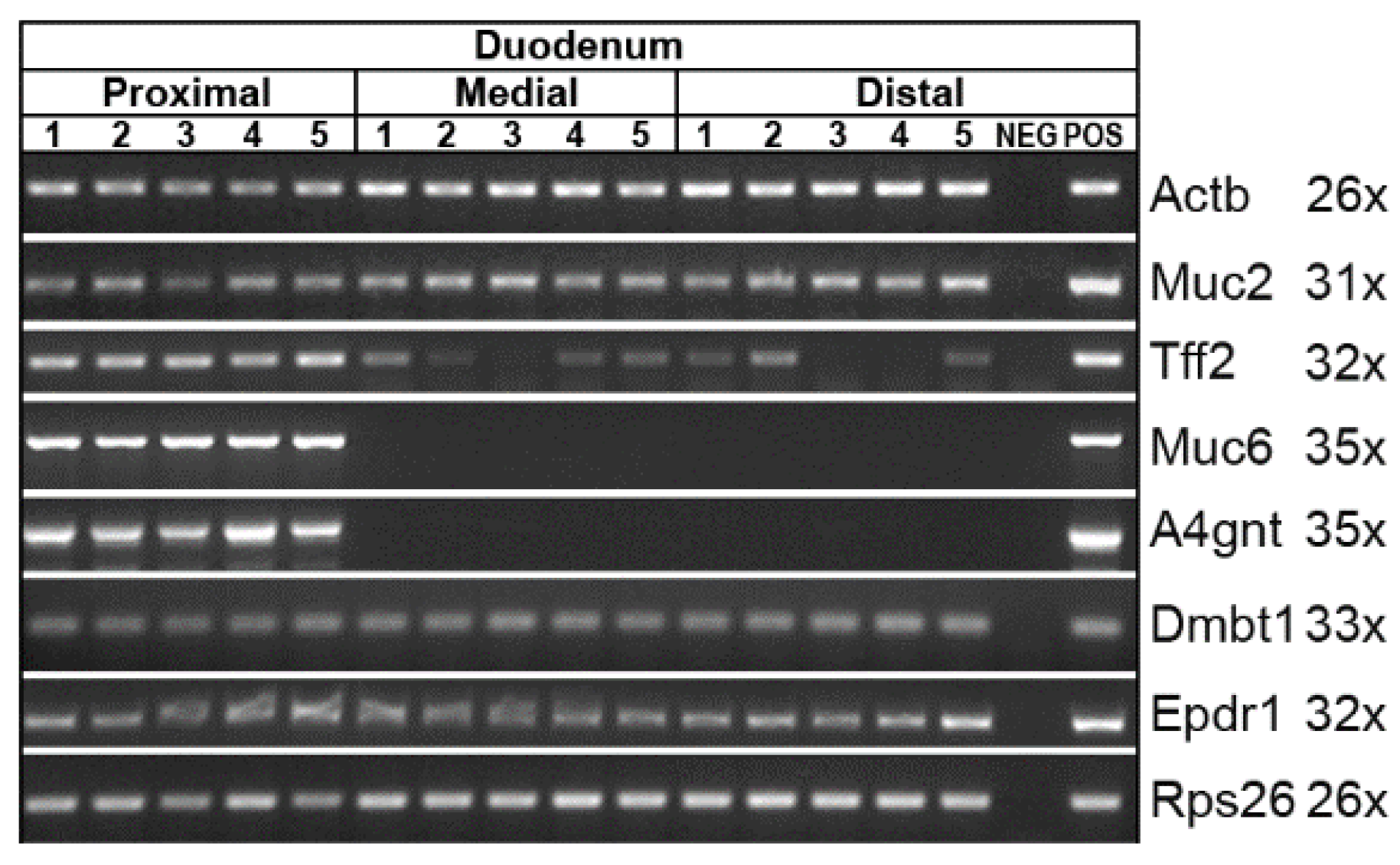 Ijms 24 07059 g008 Ijms 24 07059 g008
