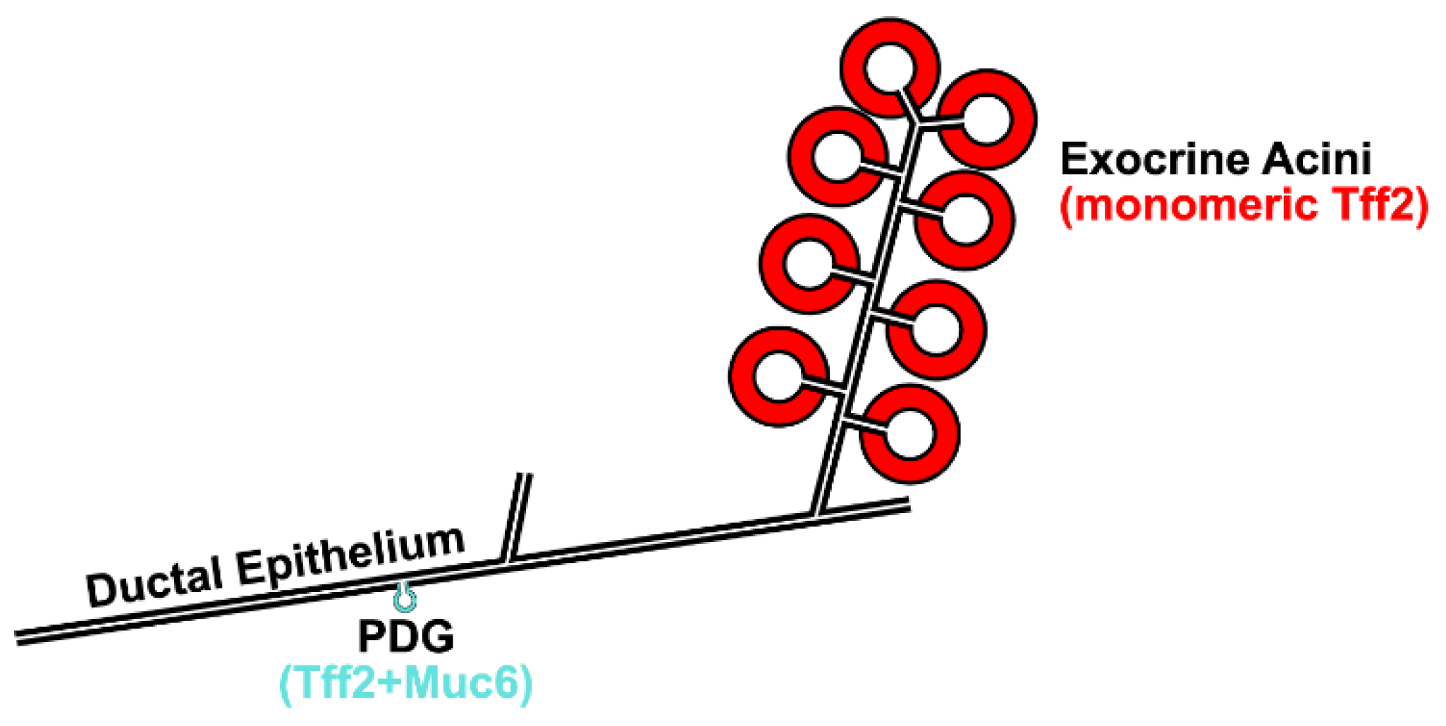 Ijms 24 07059 g010 Ijms 24 07059 g010