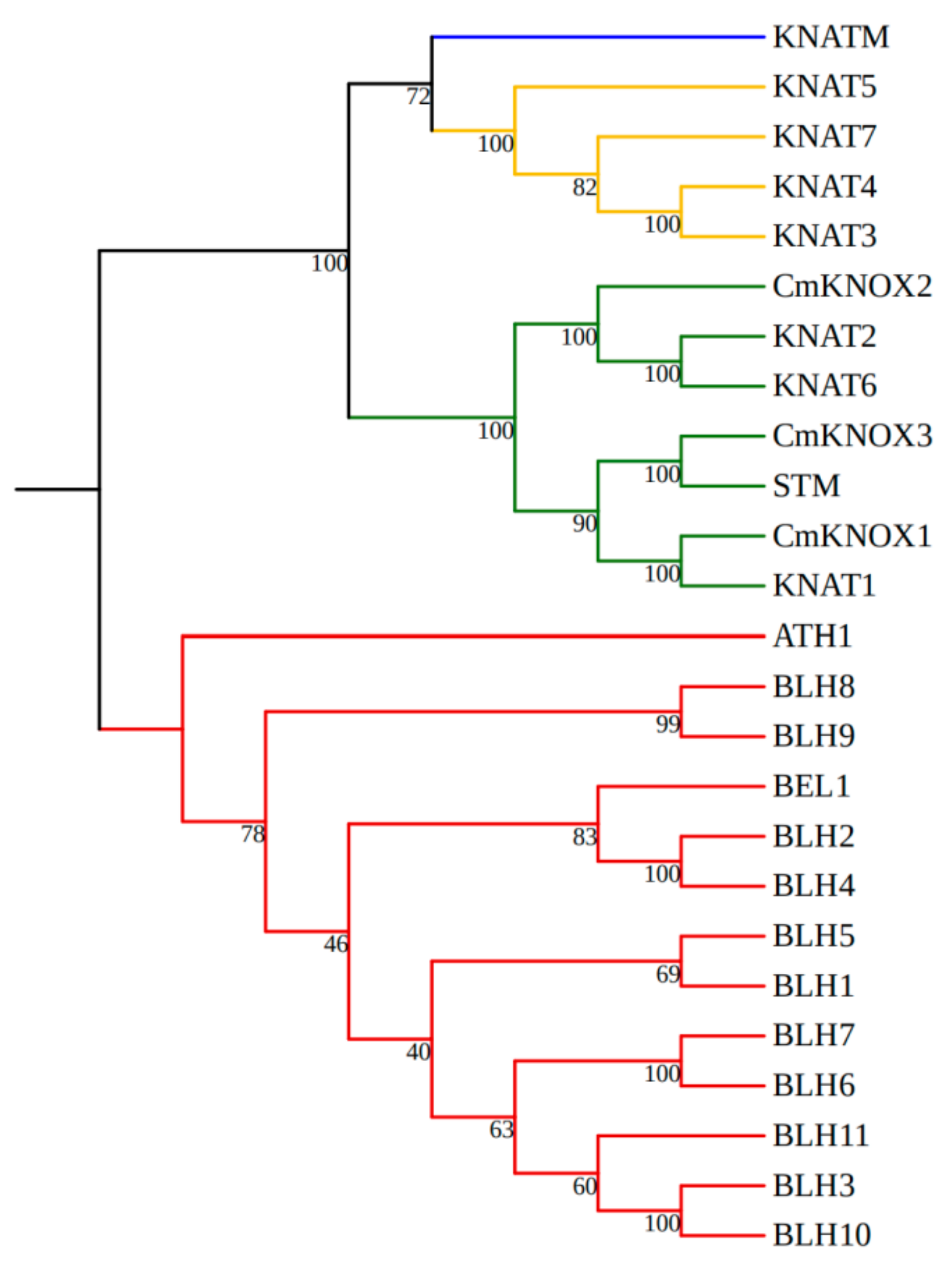 Ijms 24 07081 g001 Ijms 24 07081 g001
