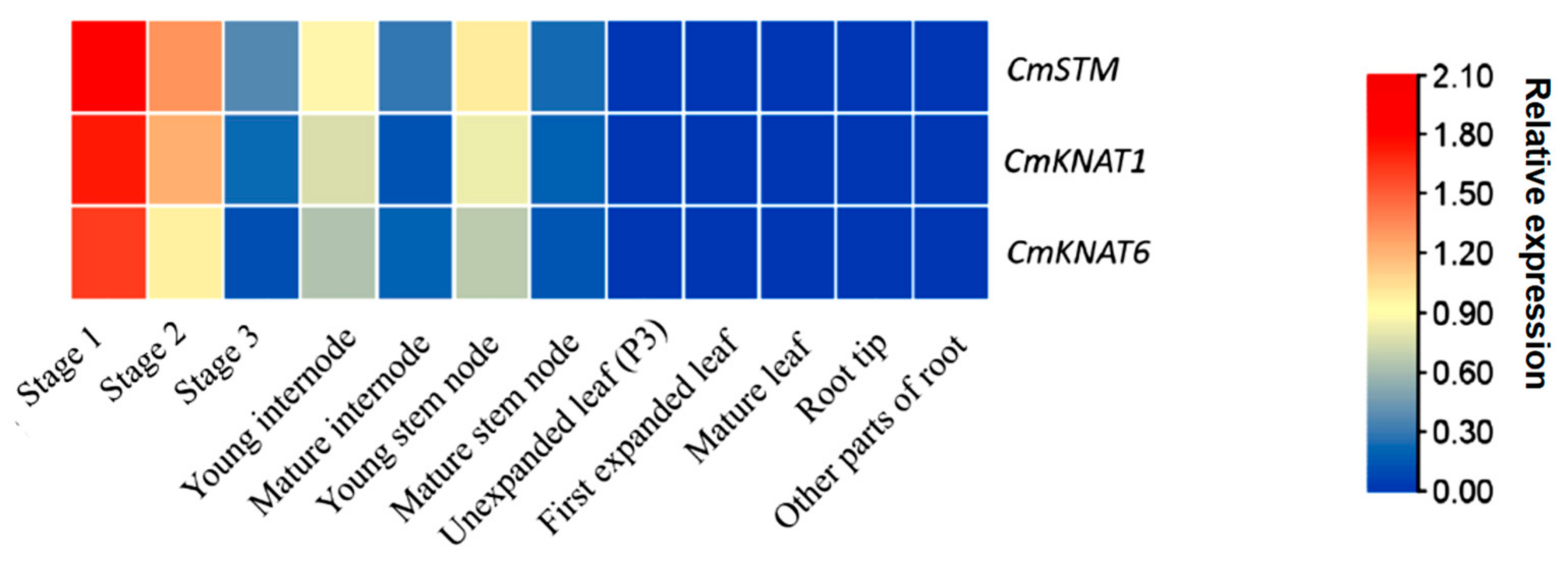 Ijms 24 07081 g006 Ijms 24 07081 g006