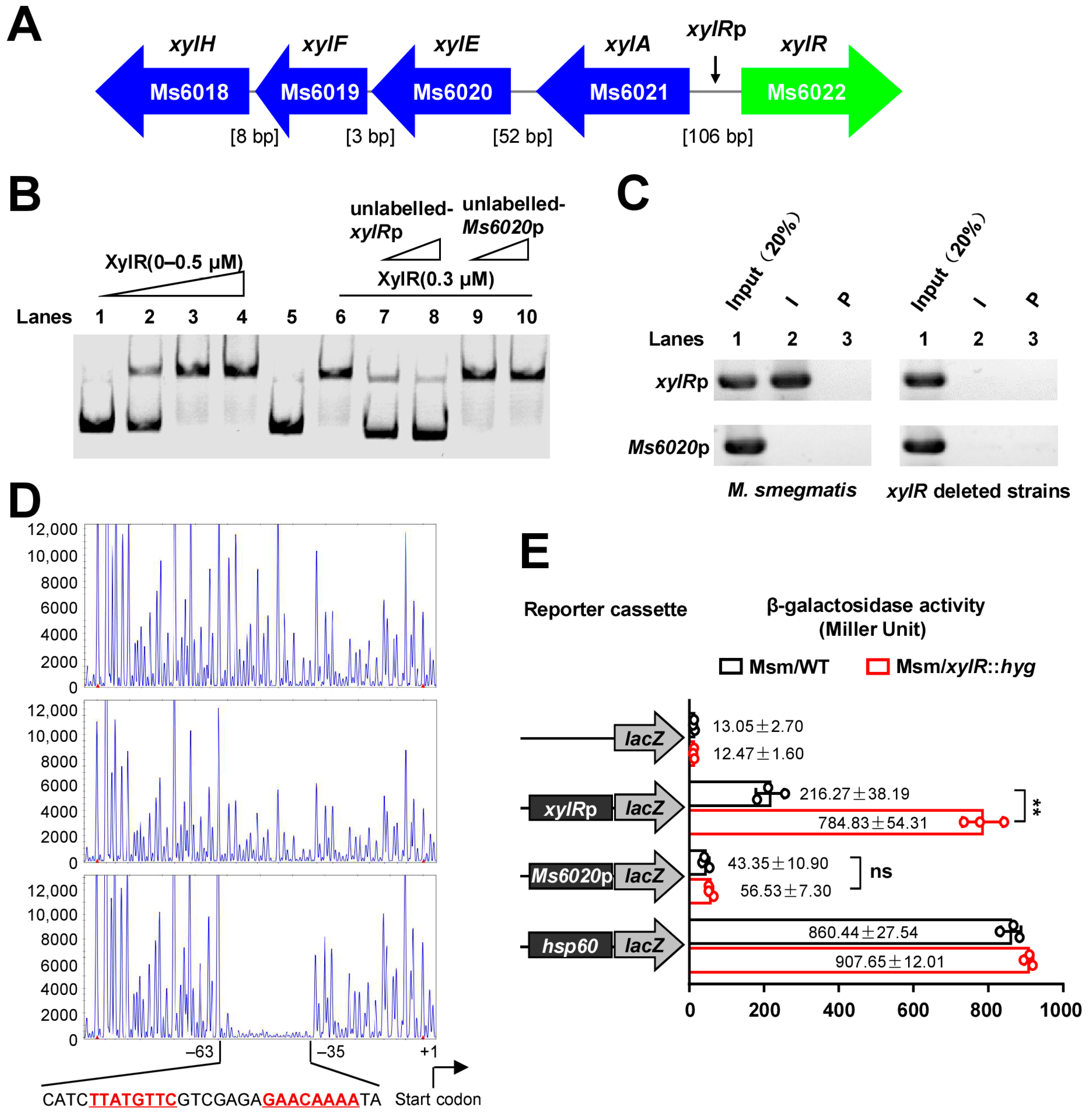 Ijms 24 07086 g001 Ijms 24 07086 g001