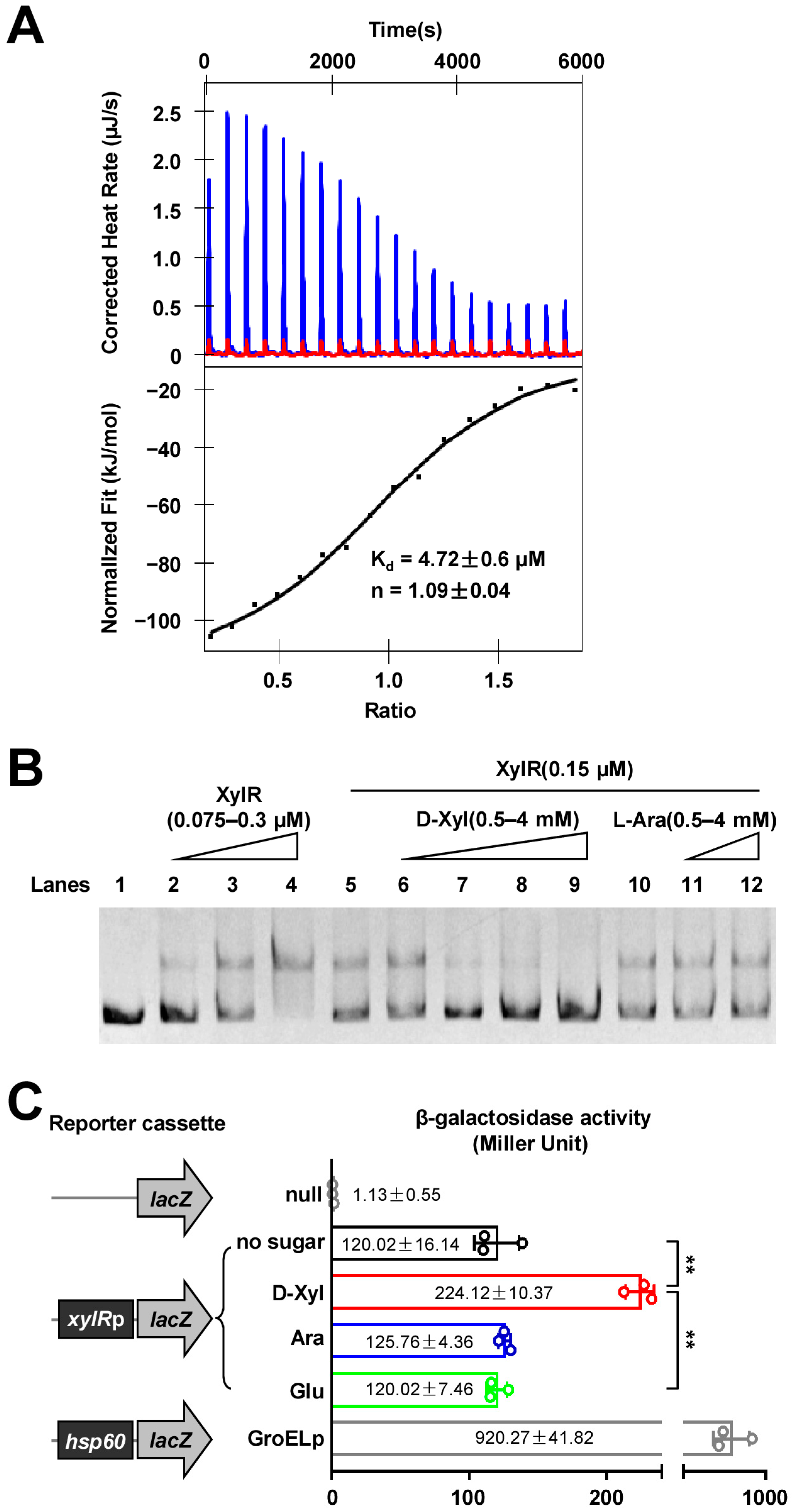 Ijms 24 07086 g002 Ijms 24 07086 g002